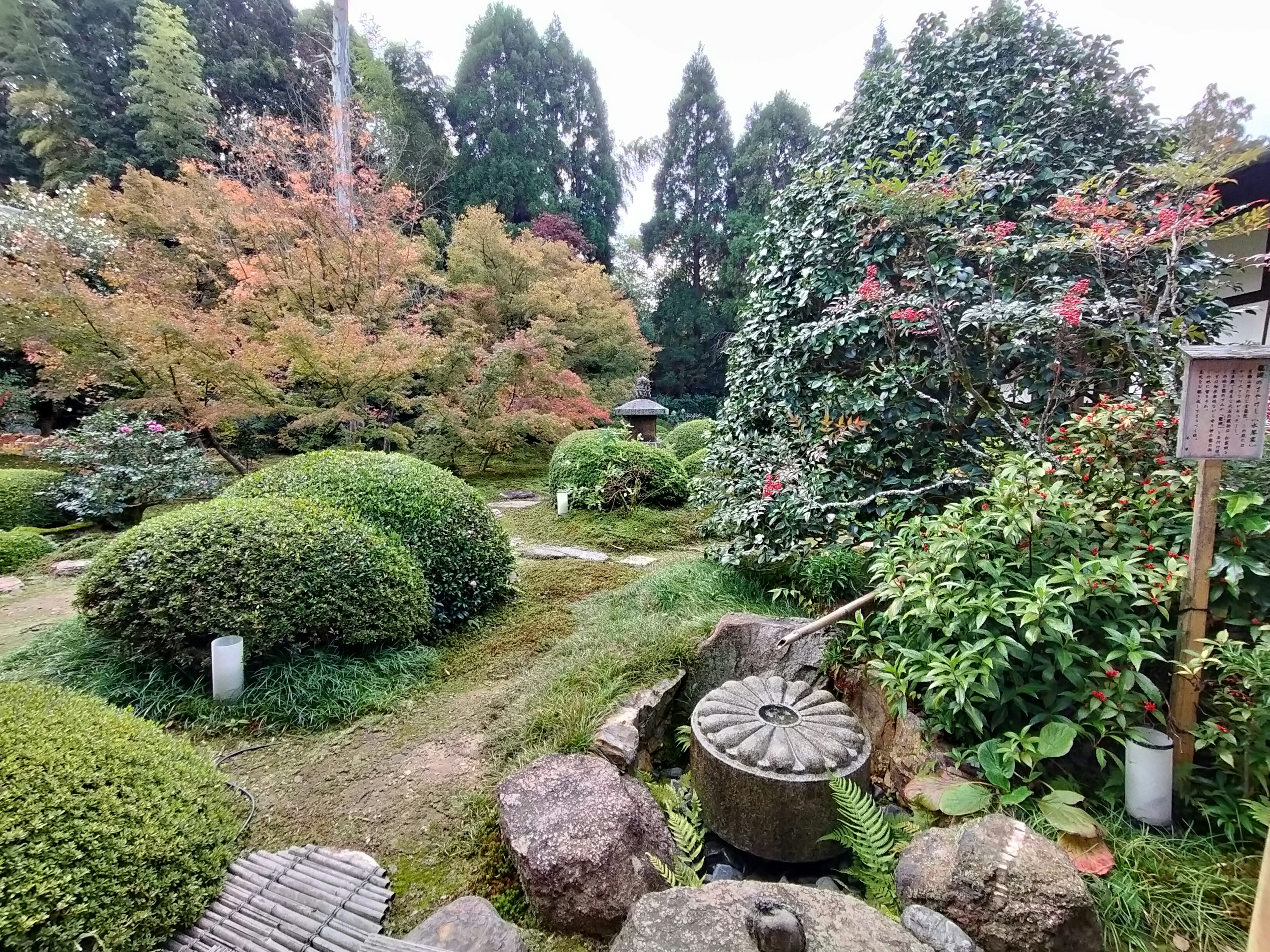 Jardin japonais pittoresque avec une végétation luxuriante des arbres colorés des pierres et un moulin à eau