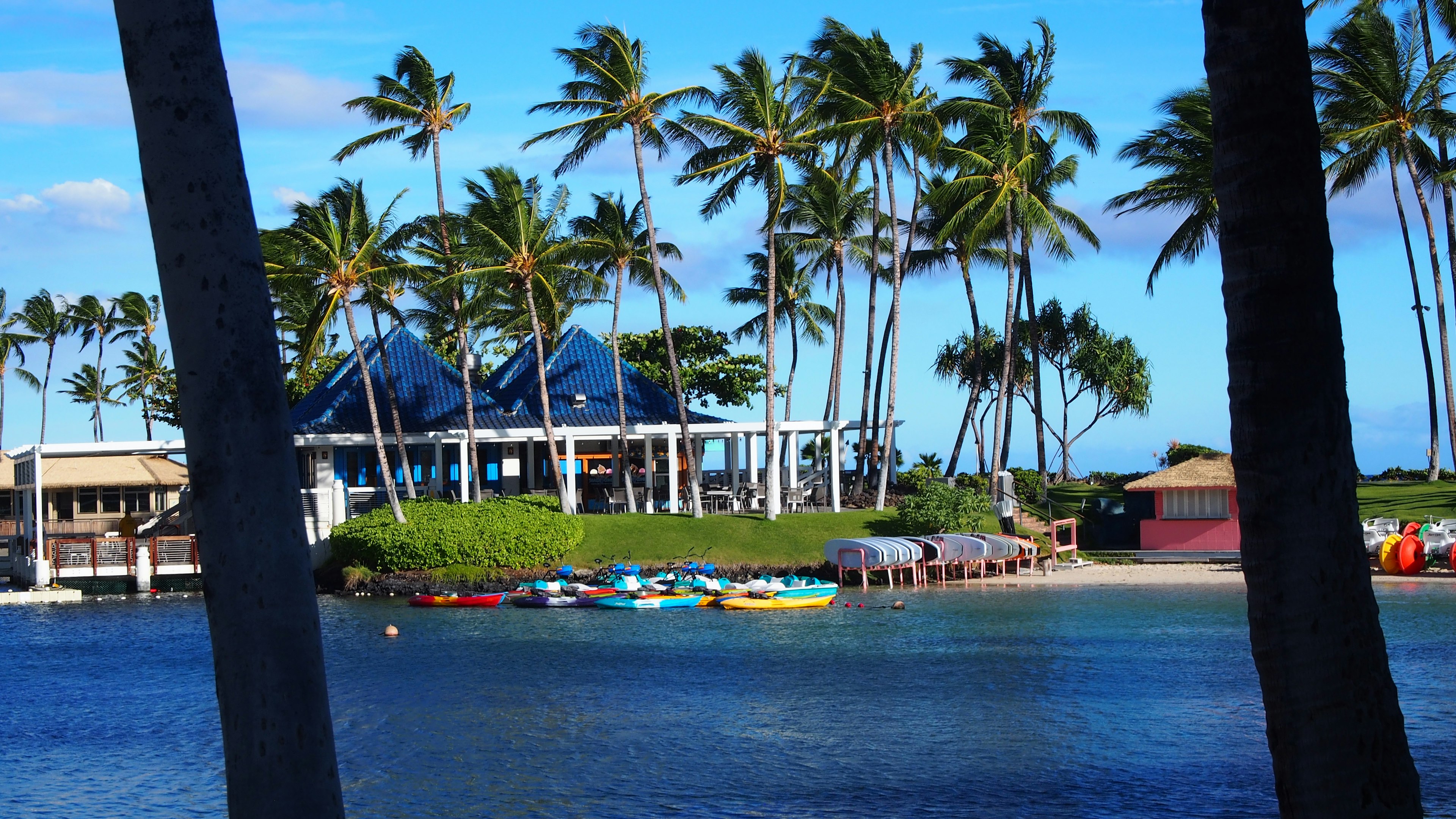 Hermosa escena de playa con cielo azul y palmeras Kayaks coloridos alineados en el agua