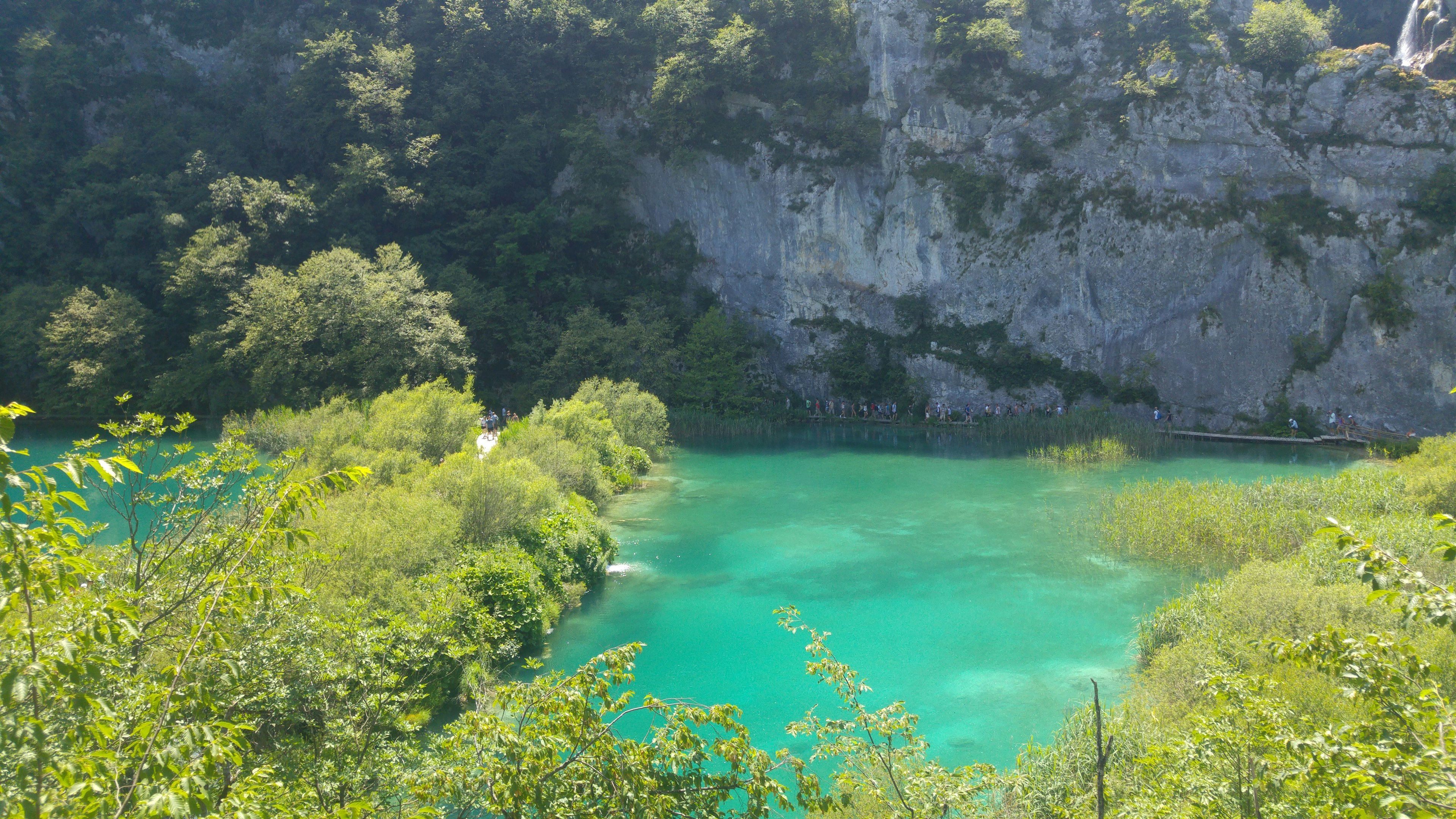 Bellissimo lago con acqua turchese circondato da una vegetazione lussureggiante