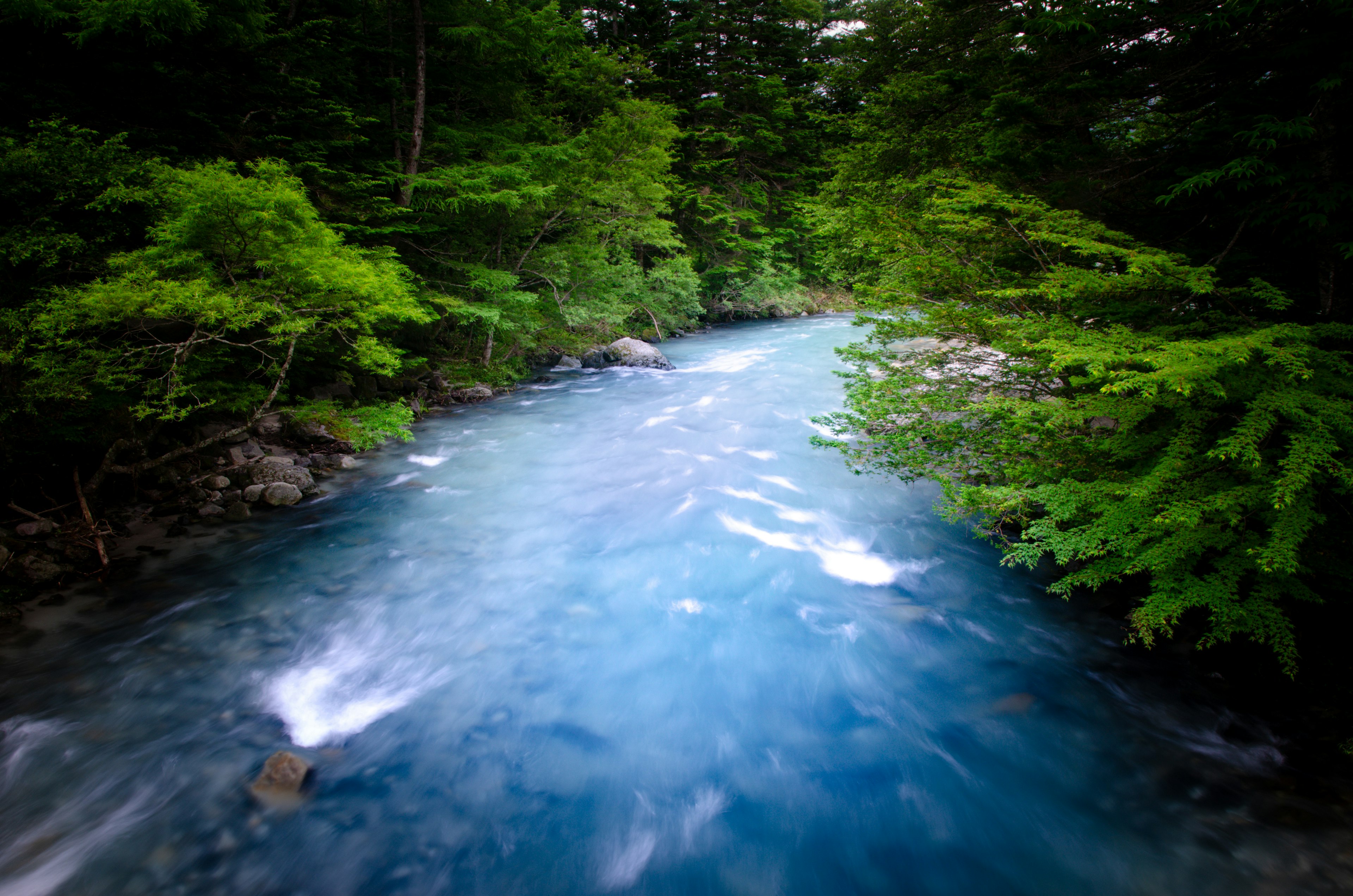 A blue river surrounded by lush green trees