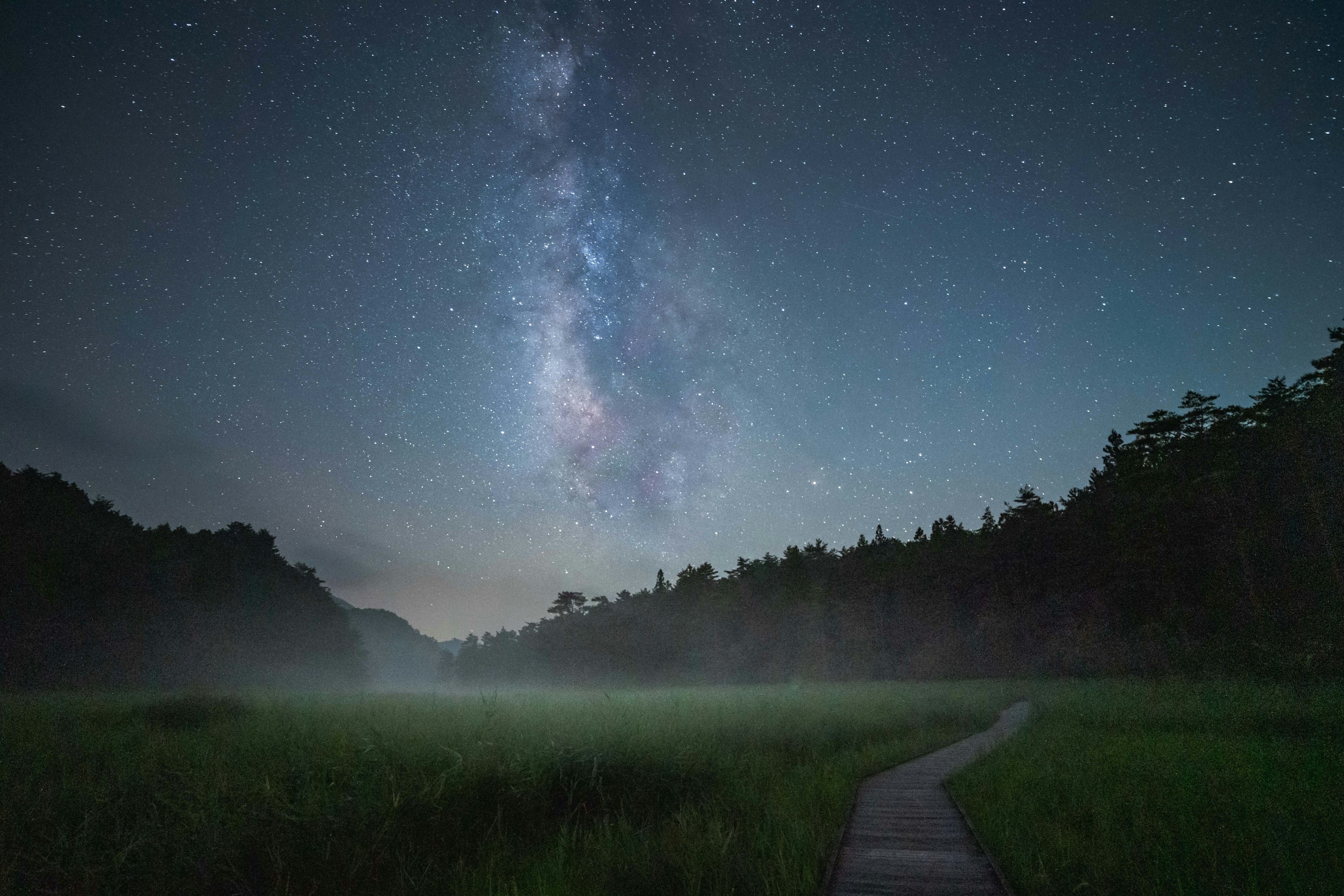 Un prato nebbioso sotto un cielo stellato con la Via Lattea