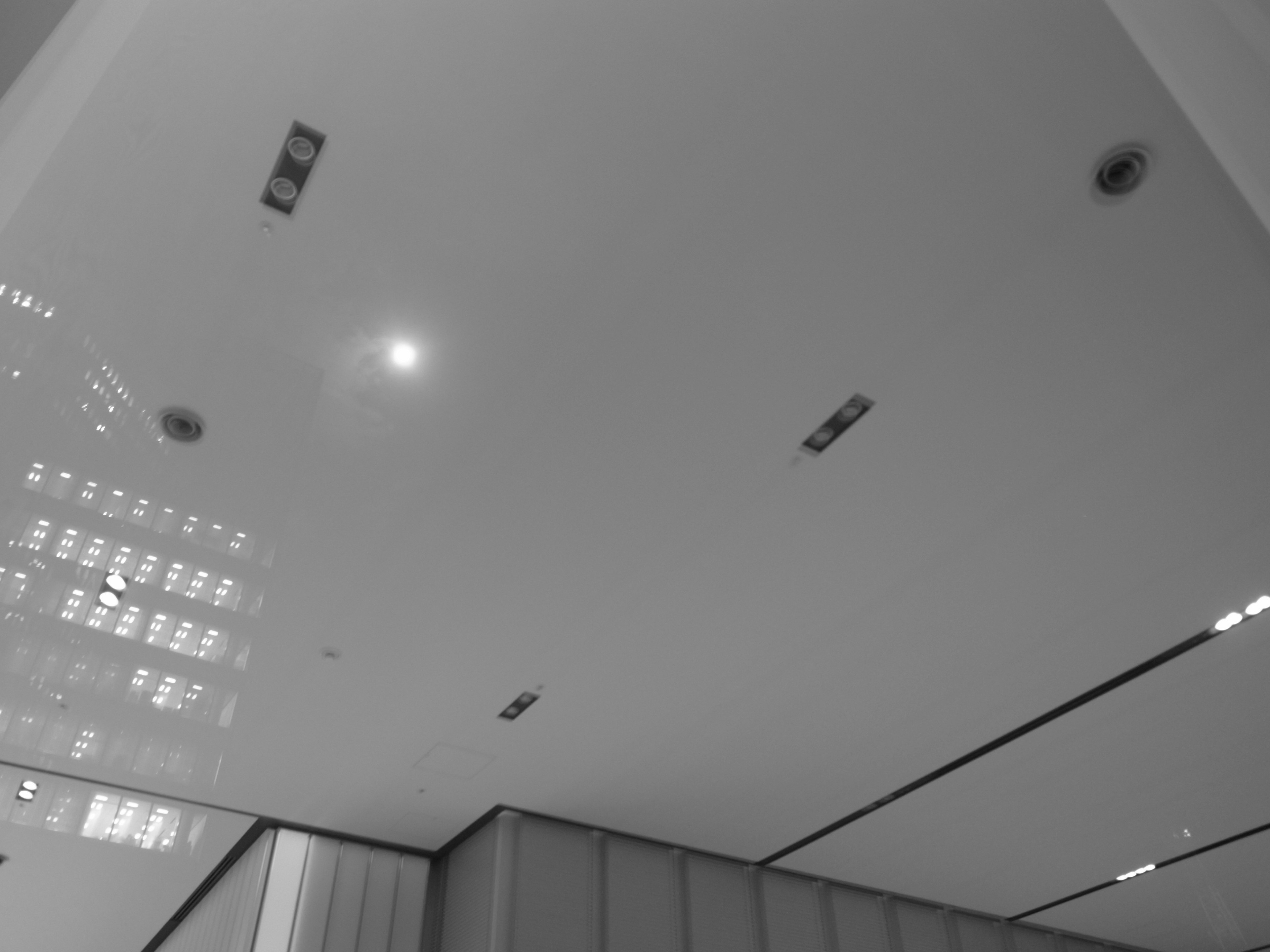 Black and white image of a ceiling with embedded lights and reflections