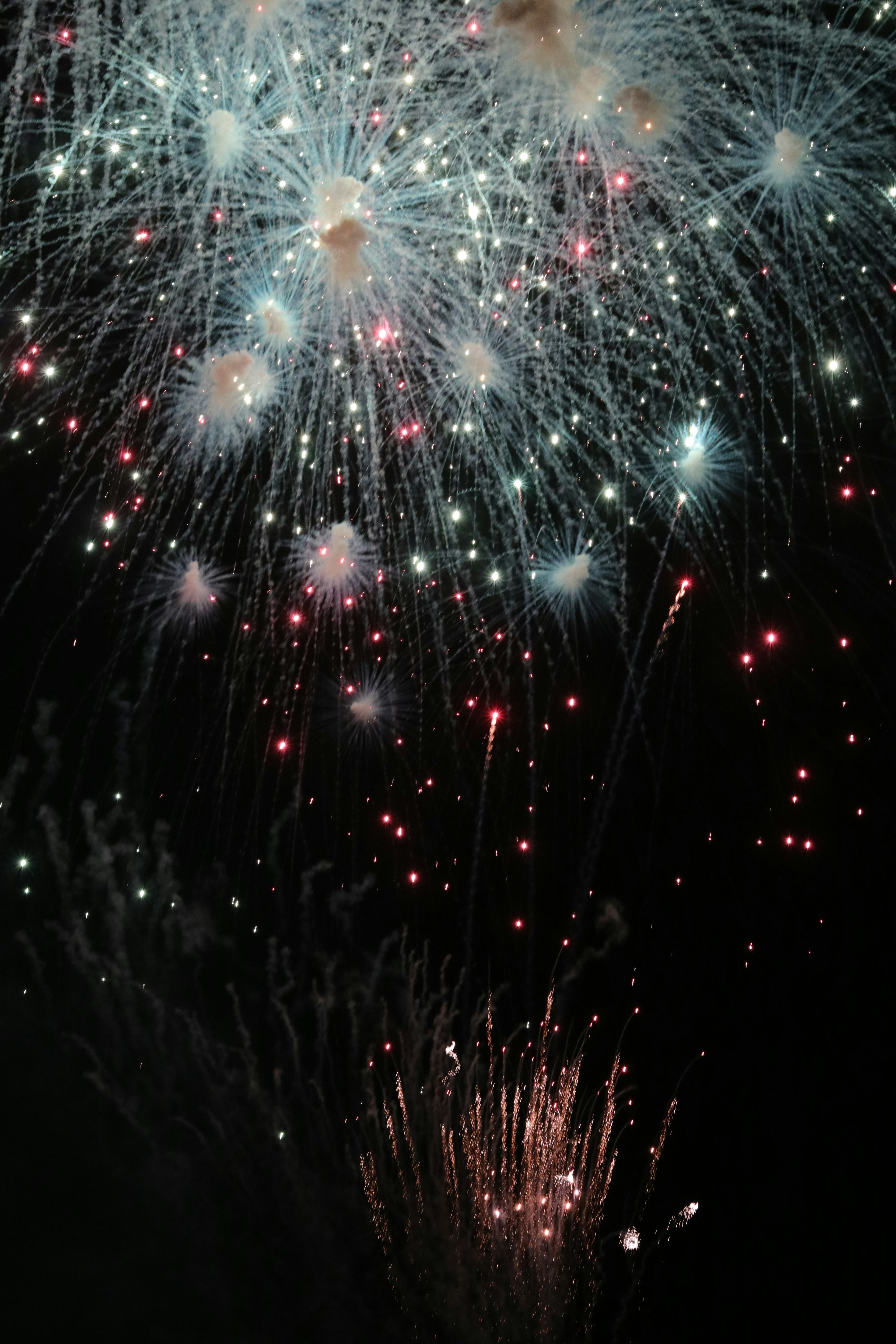 Un magnifique spectacle de feux d'artifice dans le ciel nocturne