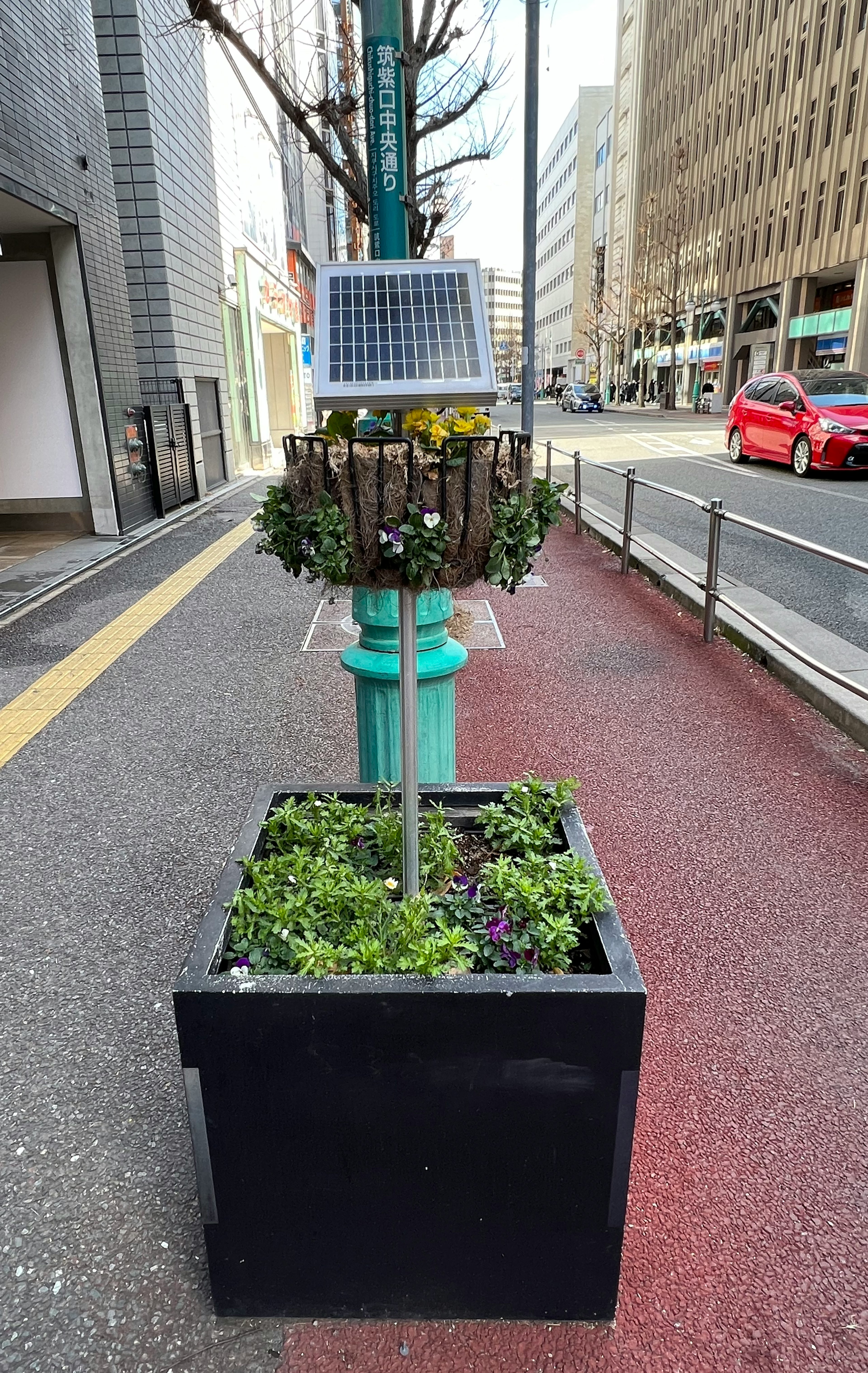 黒いプランターに植えられた緑の植物と太陽光パネルのある街路樹