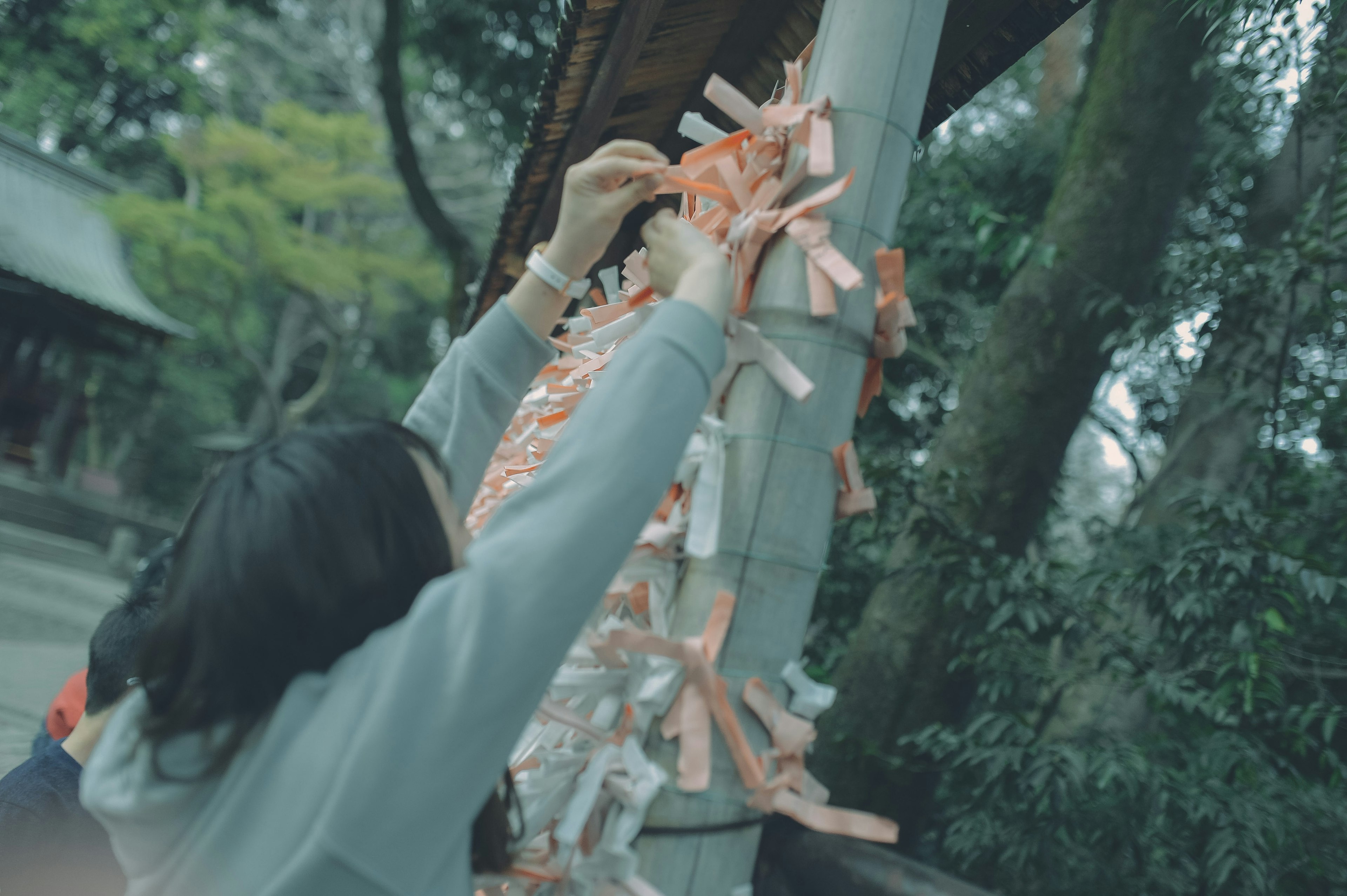 女性在神社系带签文