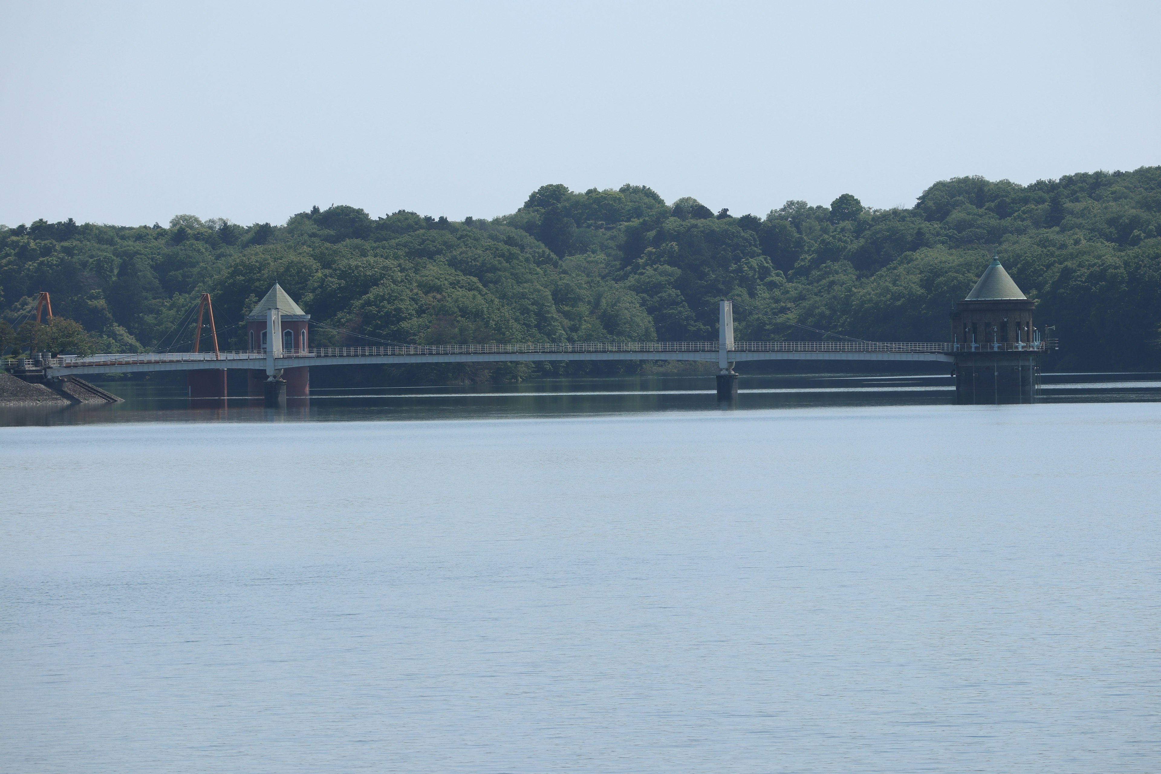 สะพานข้ามทะเลสาบที่เงียบสงบล้อมรอบด้วยพืชพรรณ