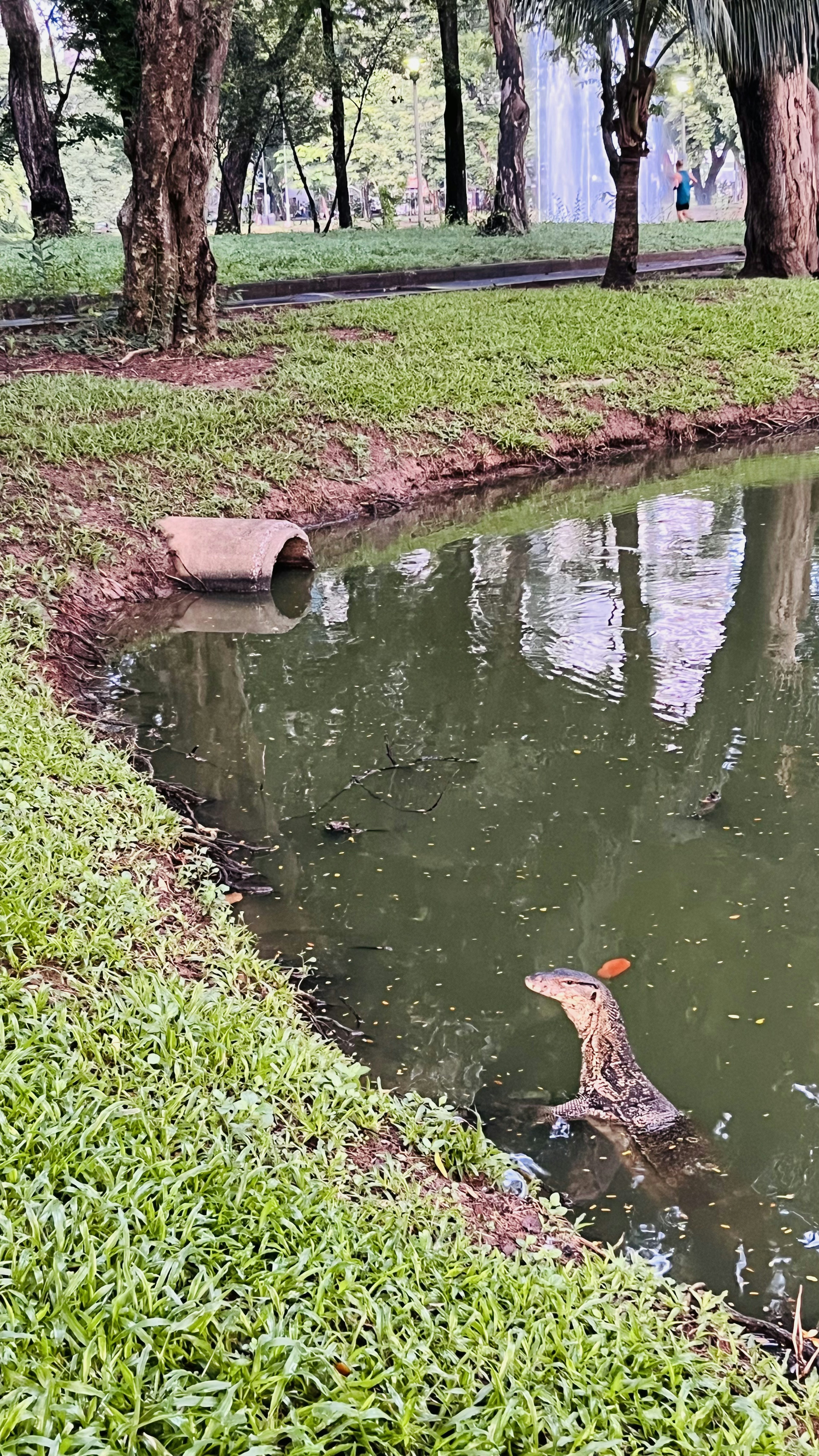 Una criatura emergiendo del agua en un estanque rodeado de hierba verde y árboles