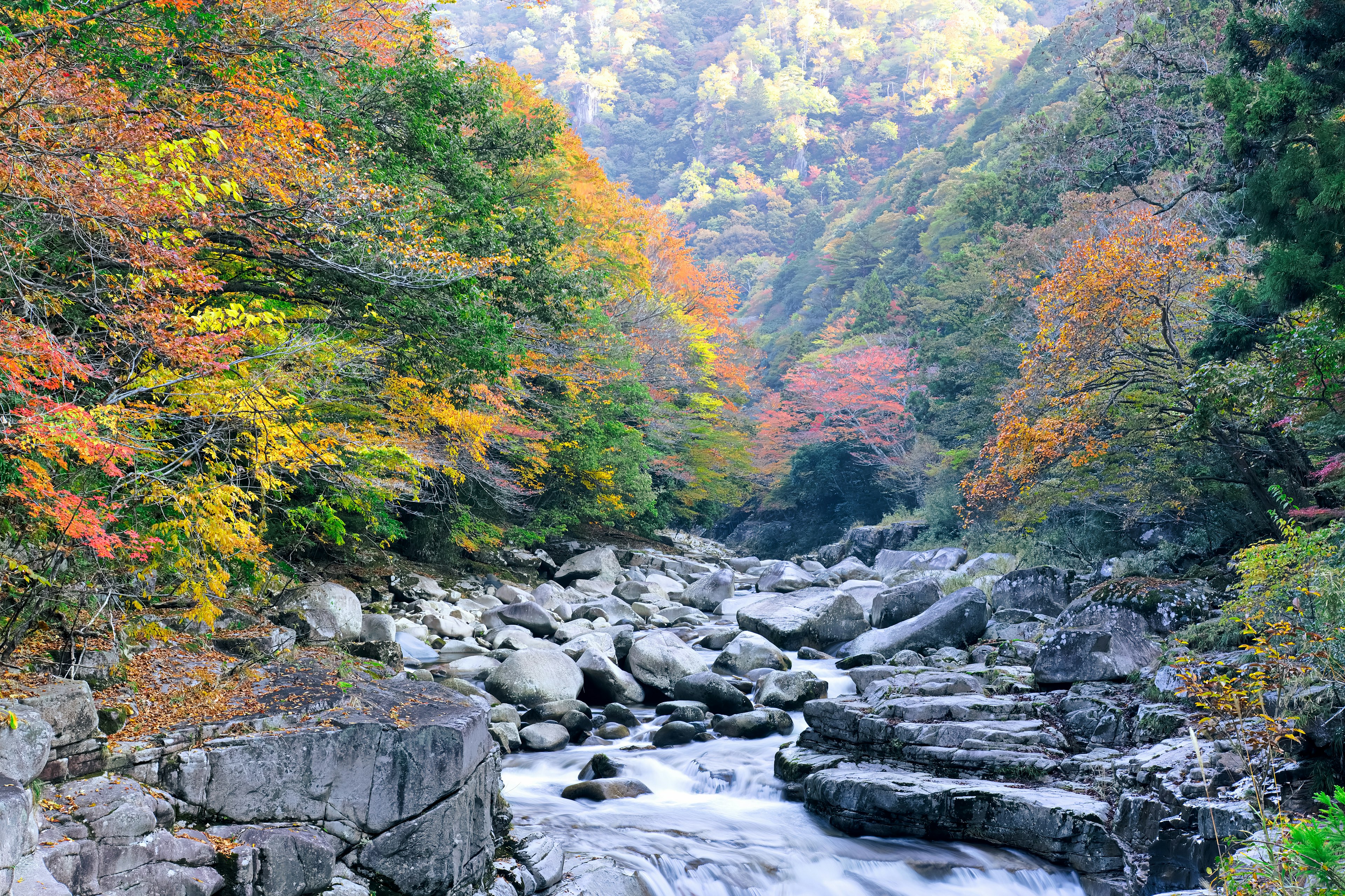 Rivière pittoresque entourée de feuillage d'automne