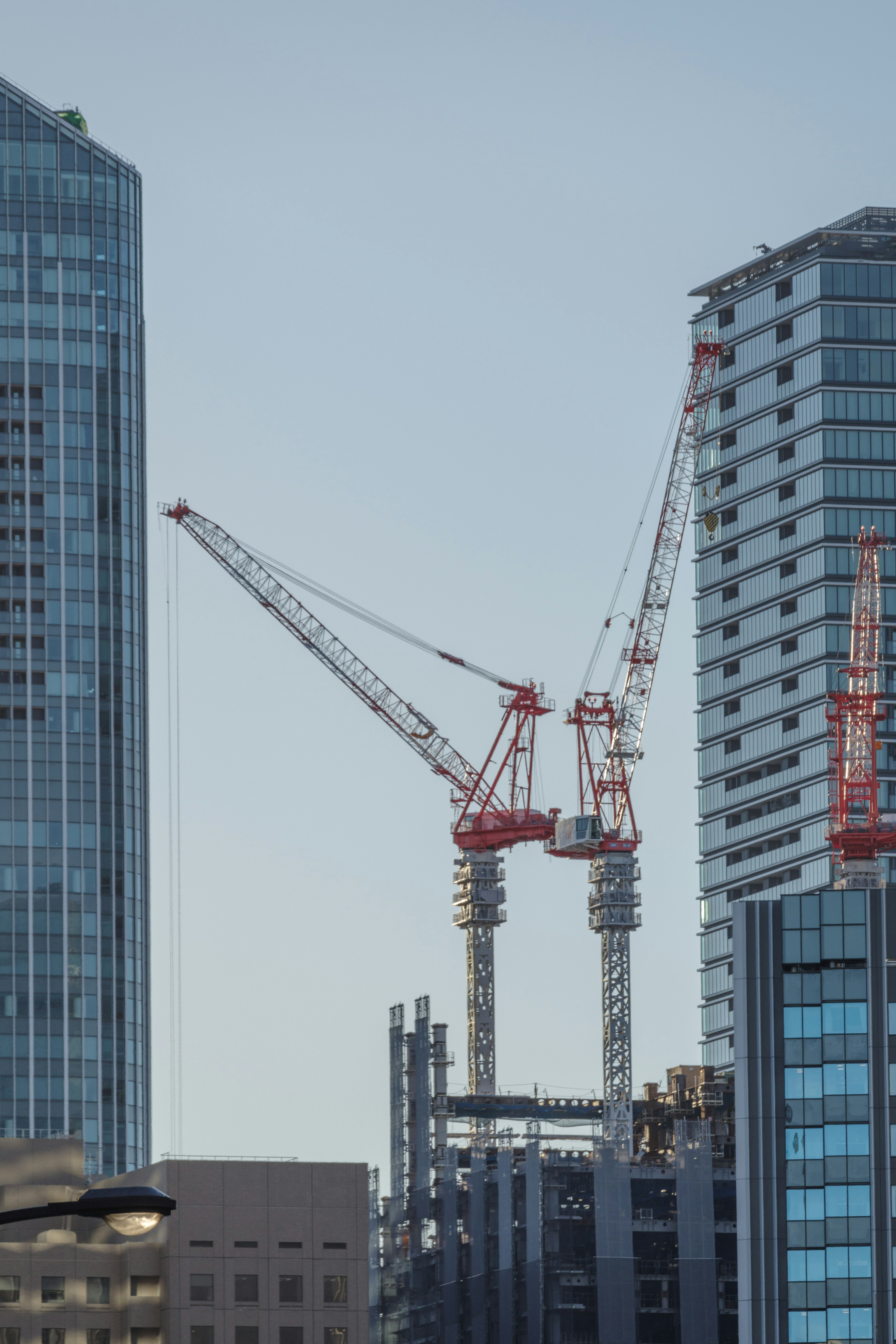 Image de grues de construction entre des immeubles de grande hauteur