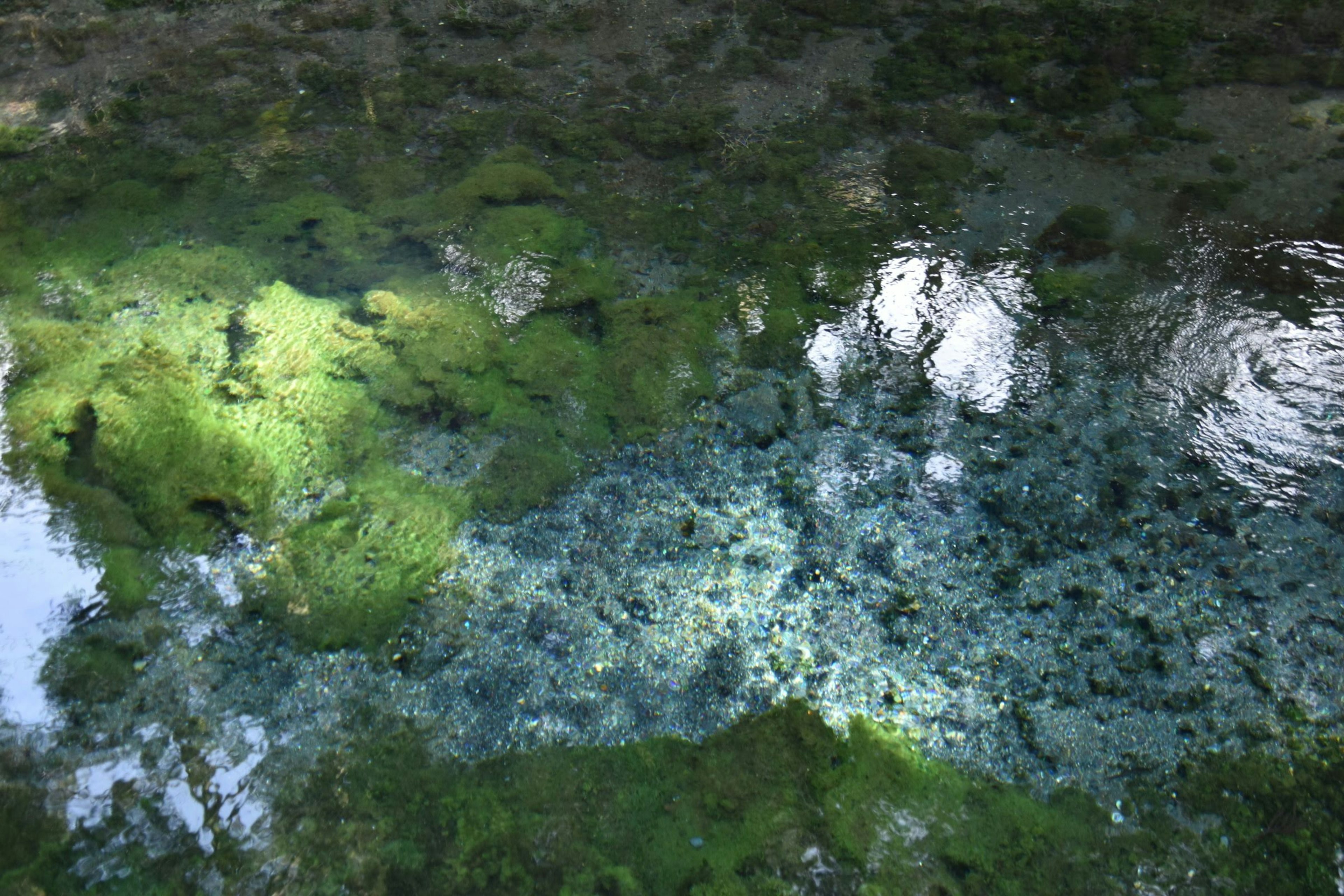 Hermosa escena submarina con tonos verdes y azules reflejándose en la superficie del agua