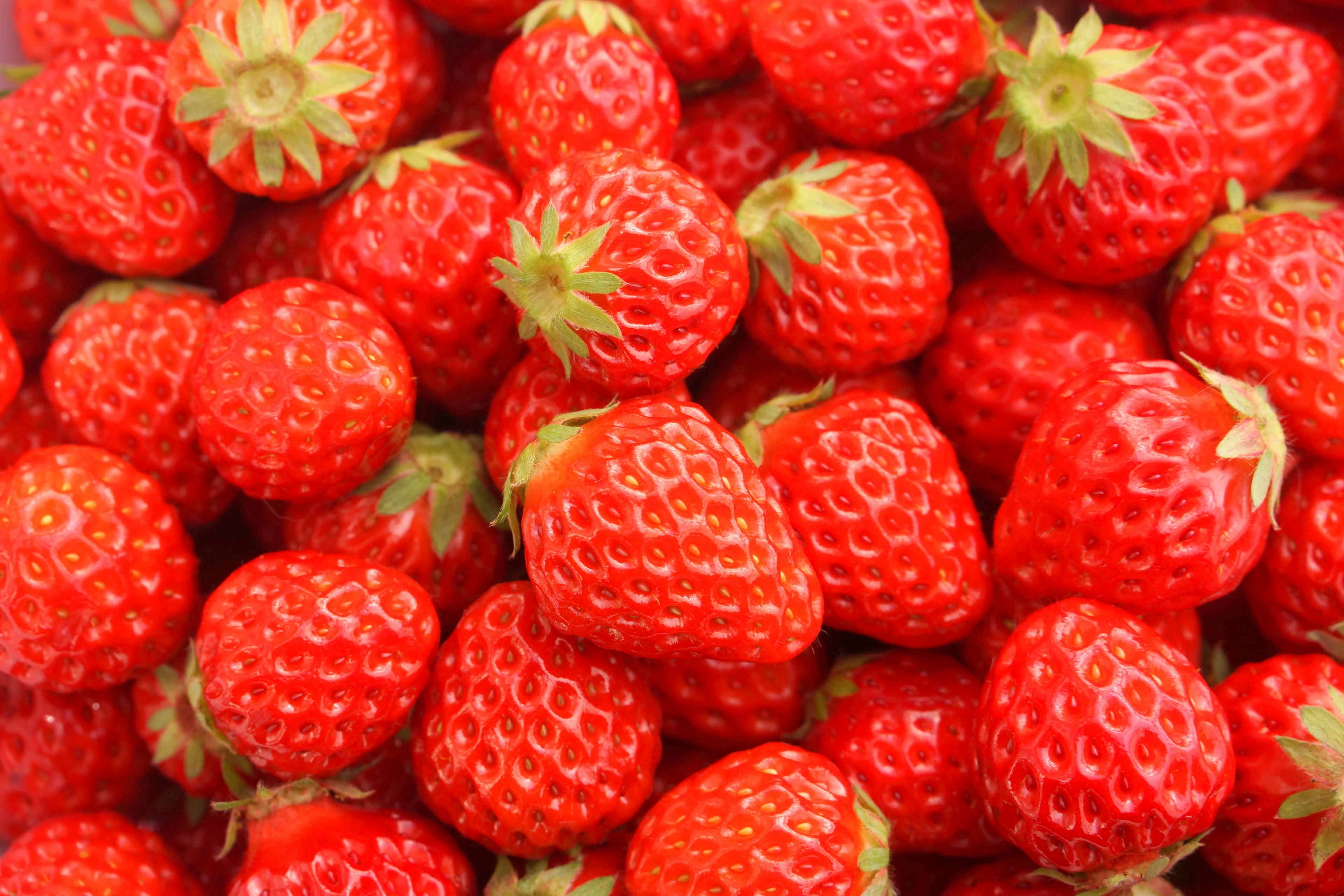 A cluster of fresh red strawberries featuring green leaves