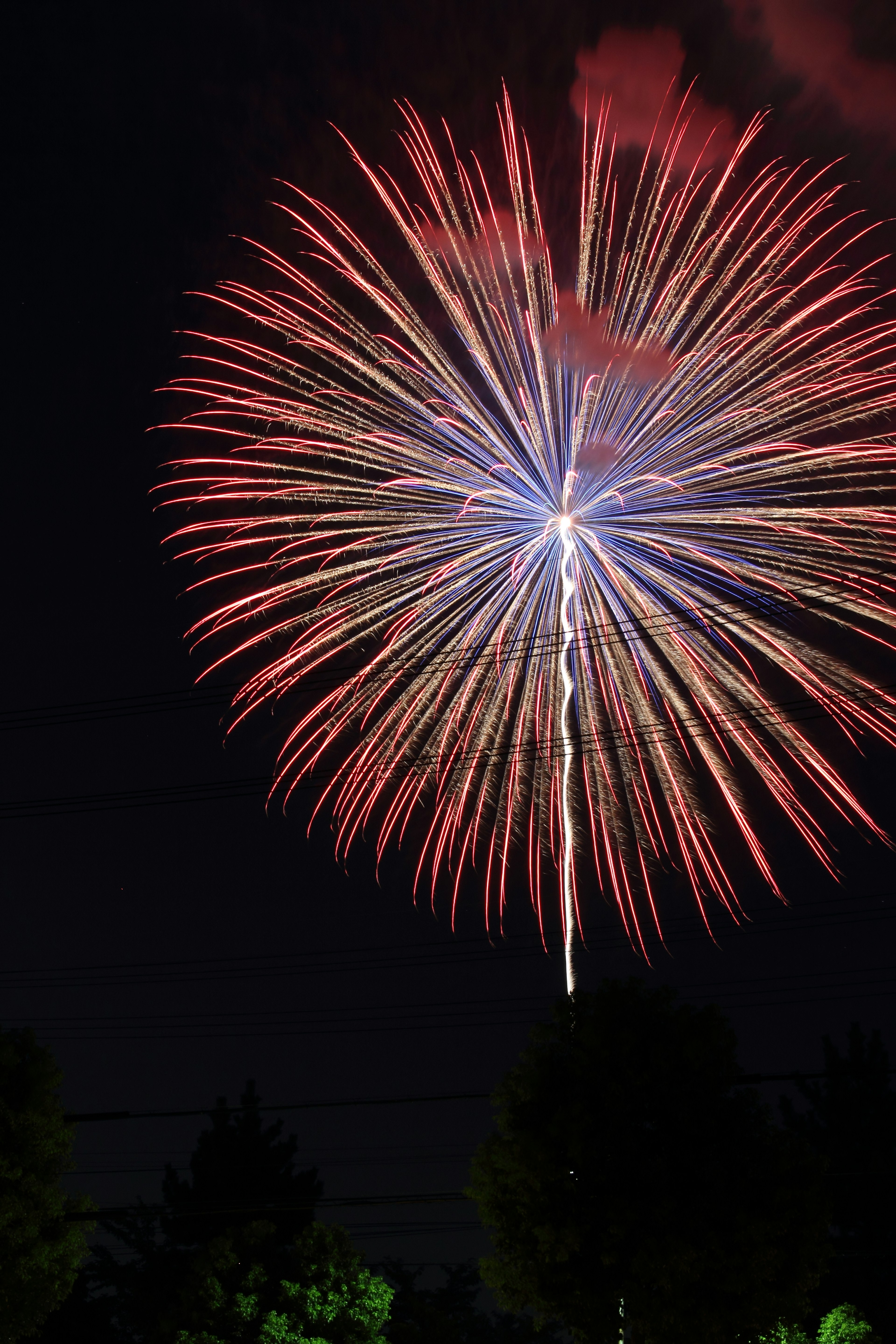 Eine schöne blumenähnliche Form von Feuerwerk, das am Nachthimmel explodiert