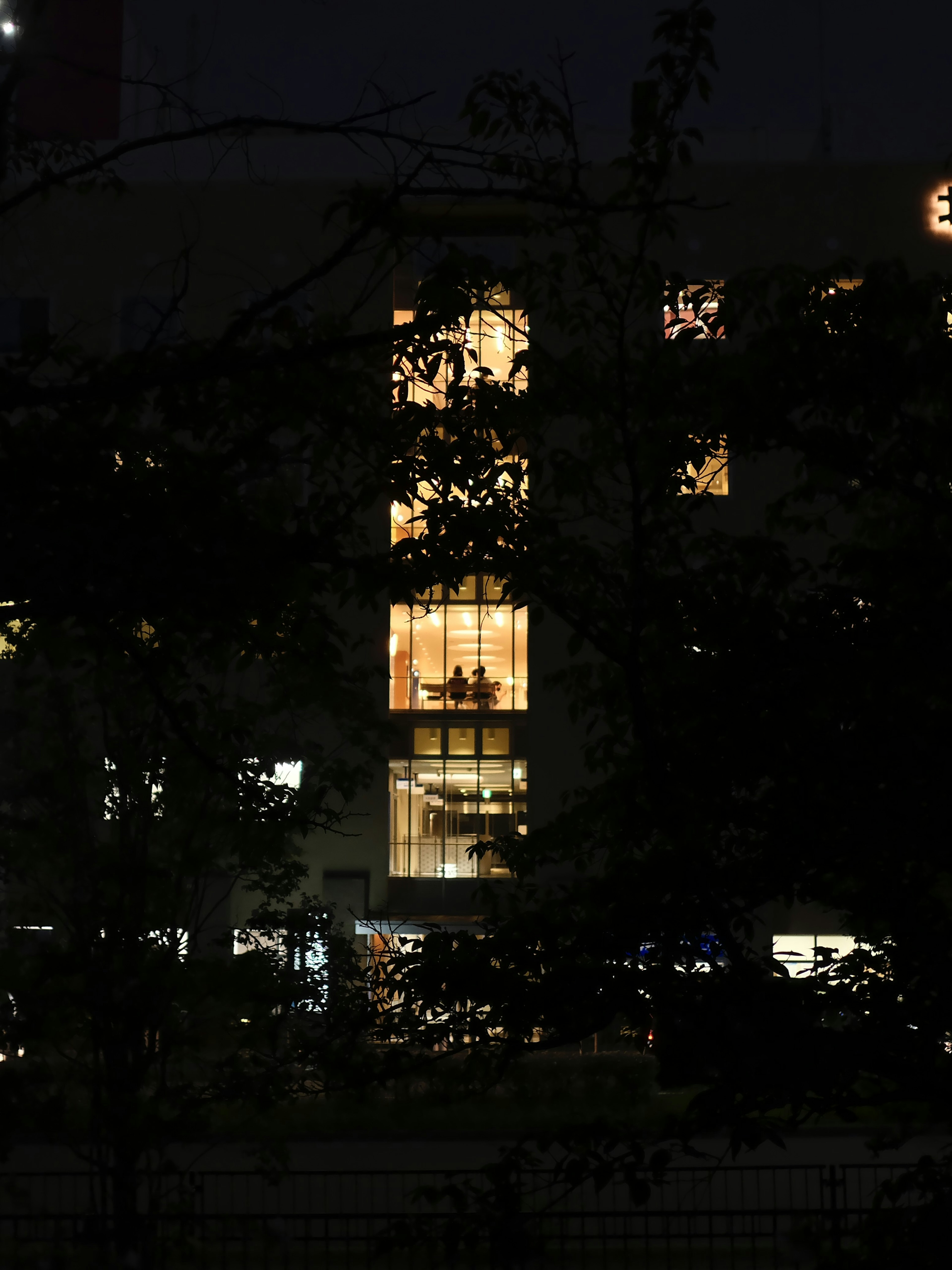 Building with illuminated windows at night