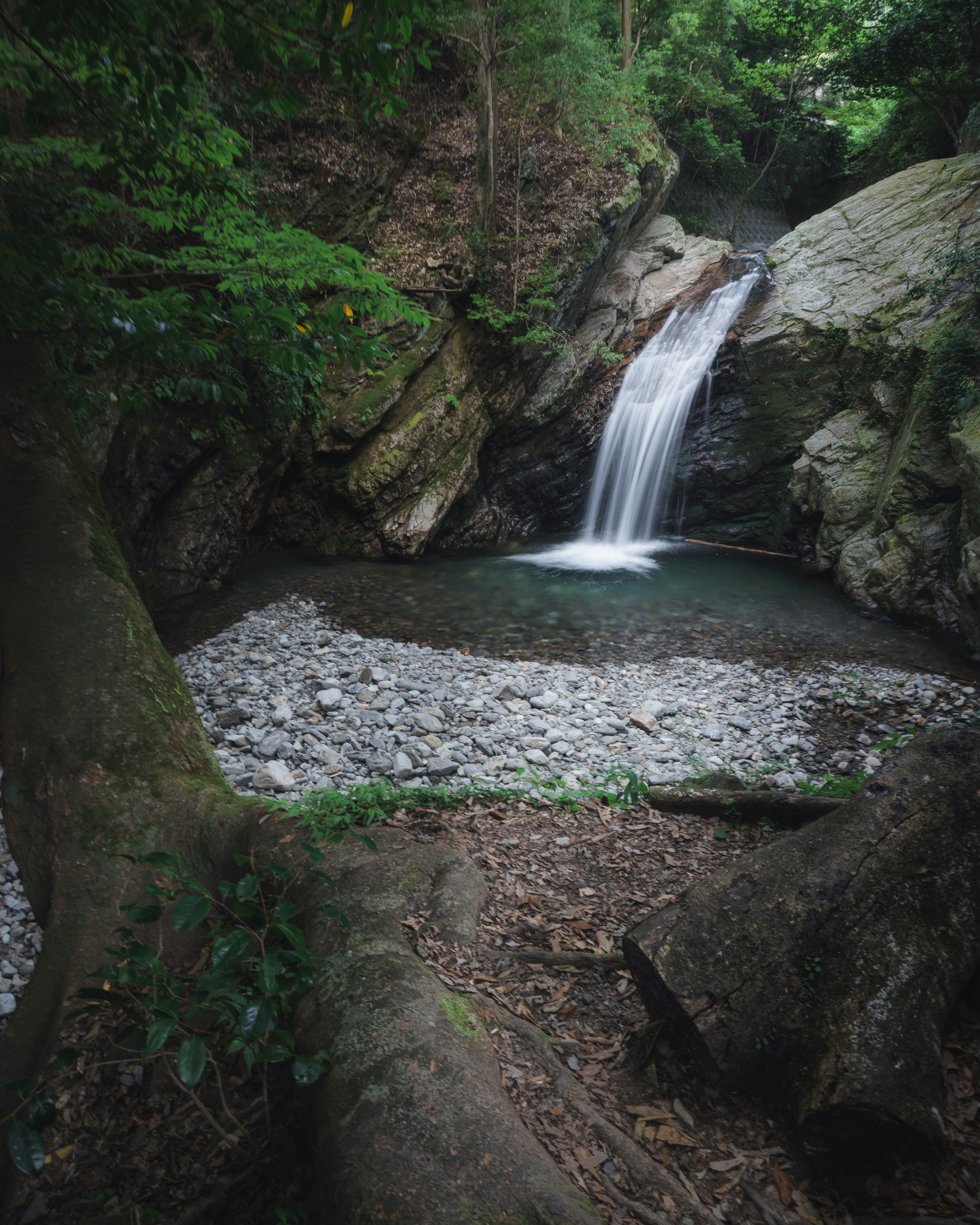 緑豊かな森の中にある小さな滝と岩場の風景