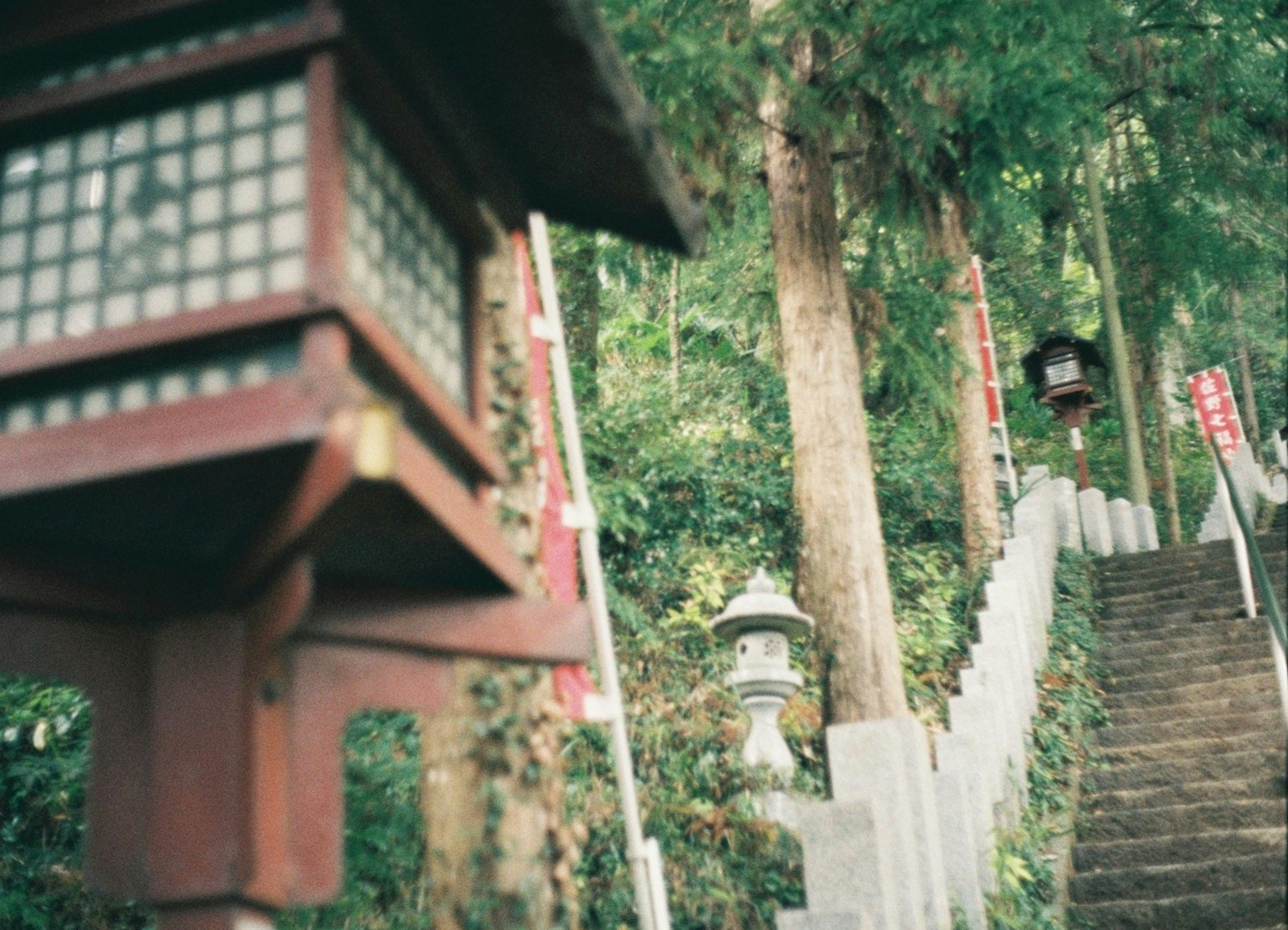 石段と灯籠が並ぶ緑豊かな神社の風景