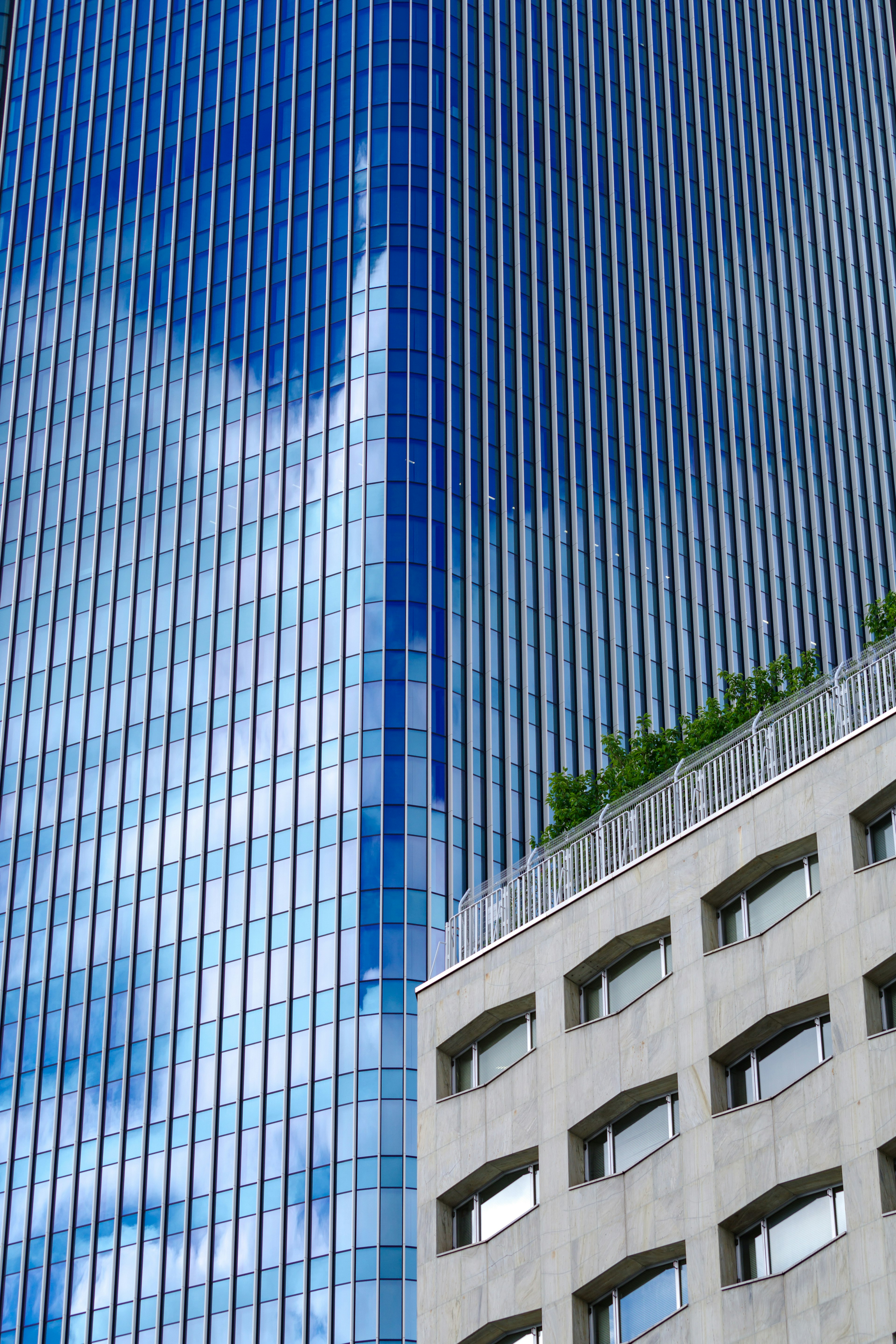 Fachada de un rascacielos que refleja el cielo azul con vegetación visible