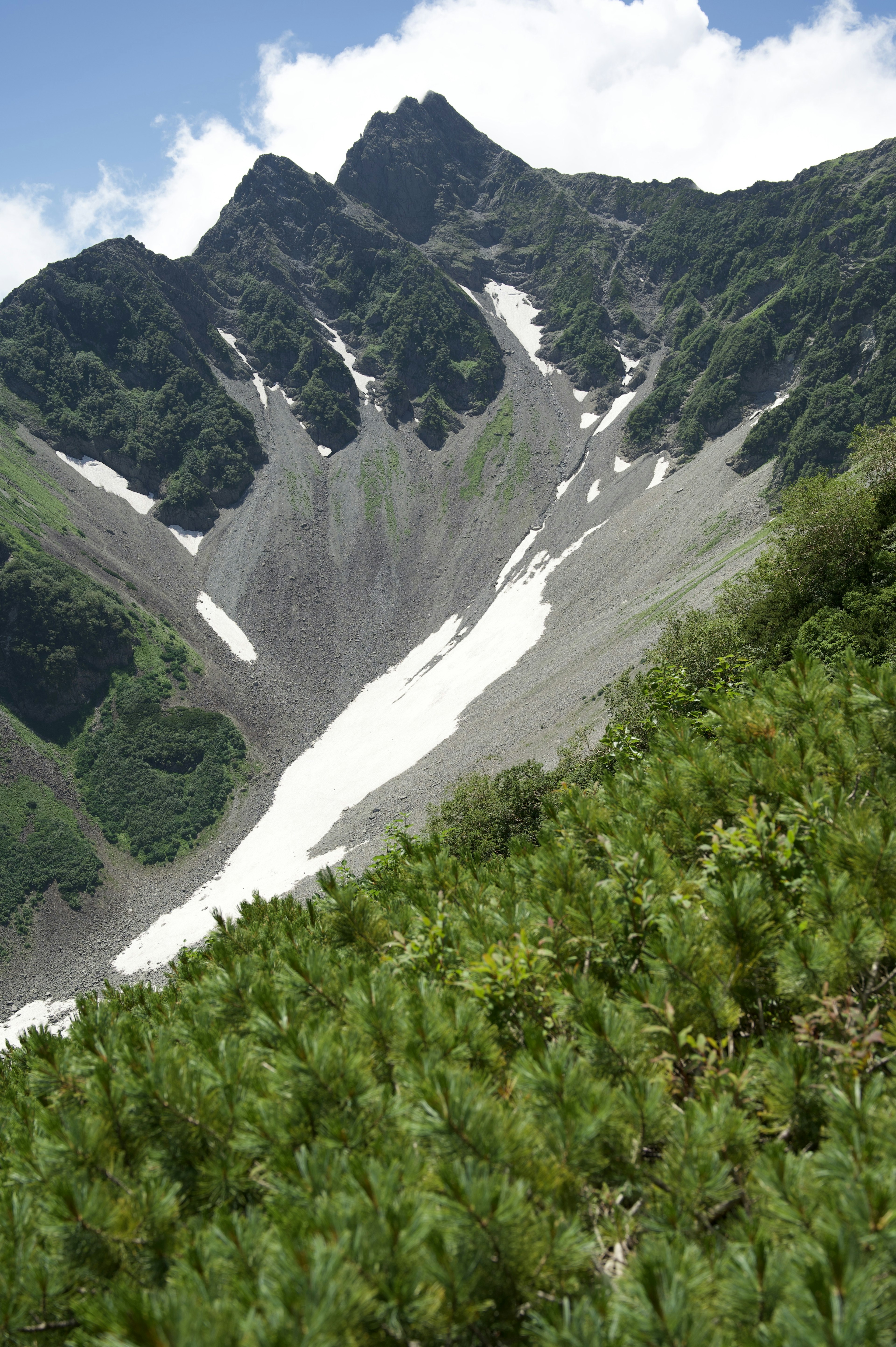 山の緑の斜面と雪の残る谷を映した風景