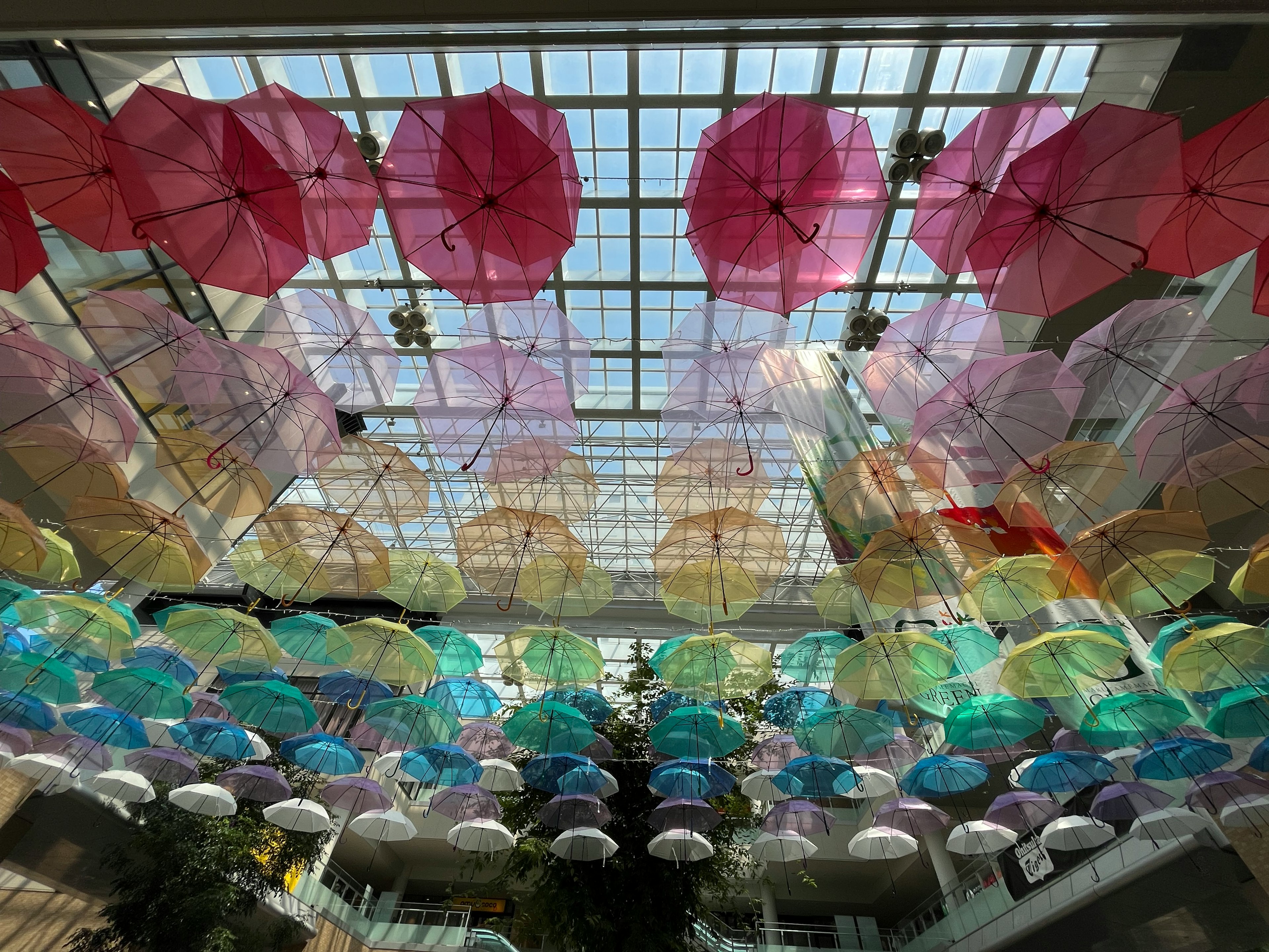 Bunte Regenschirme hängen von der Decke in einem hellen Raum