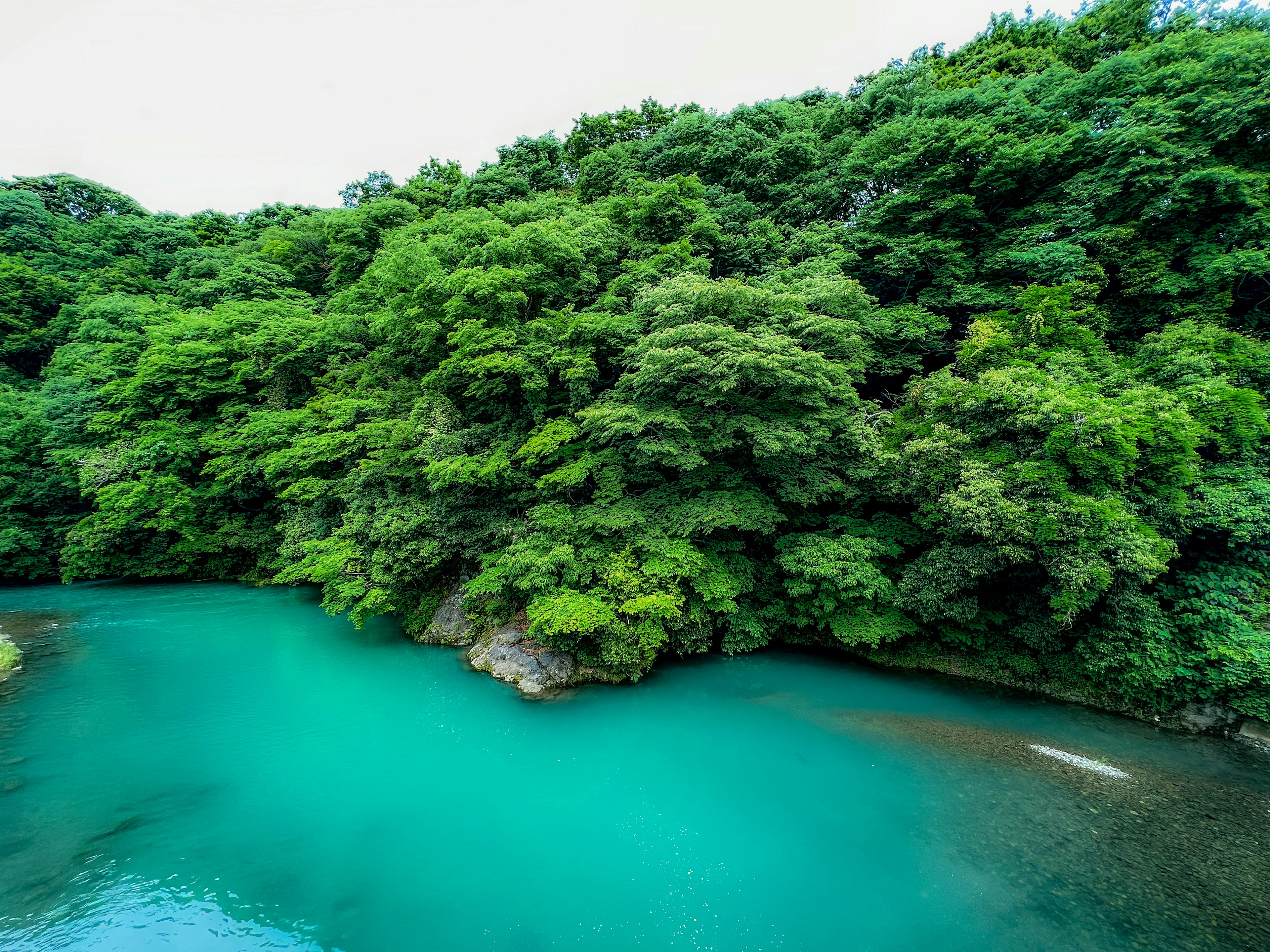 Pemandangan sungai turquoise dikelilingi hutan hijau subur