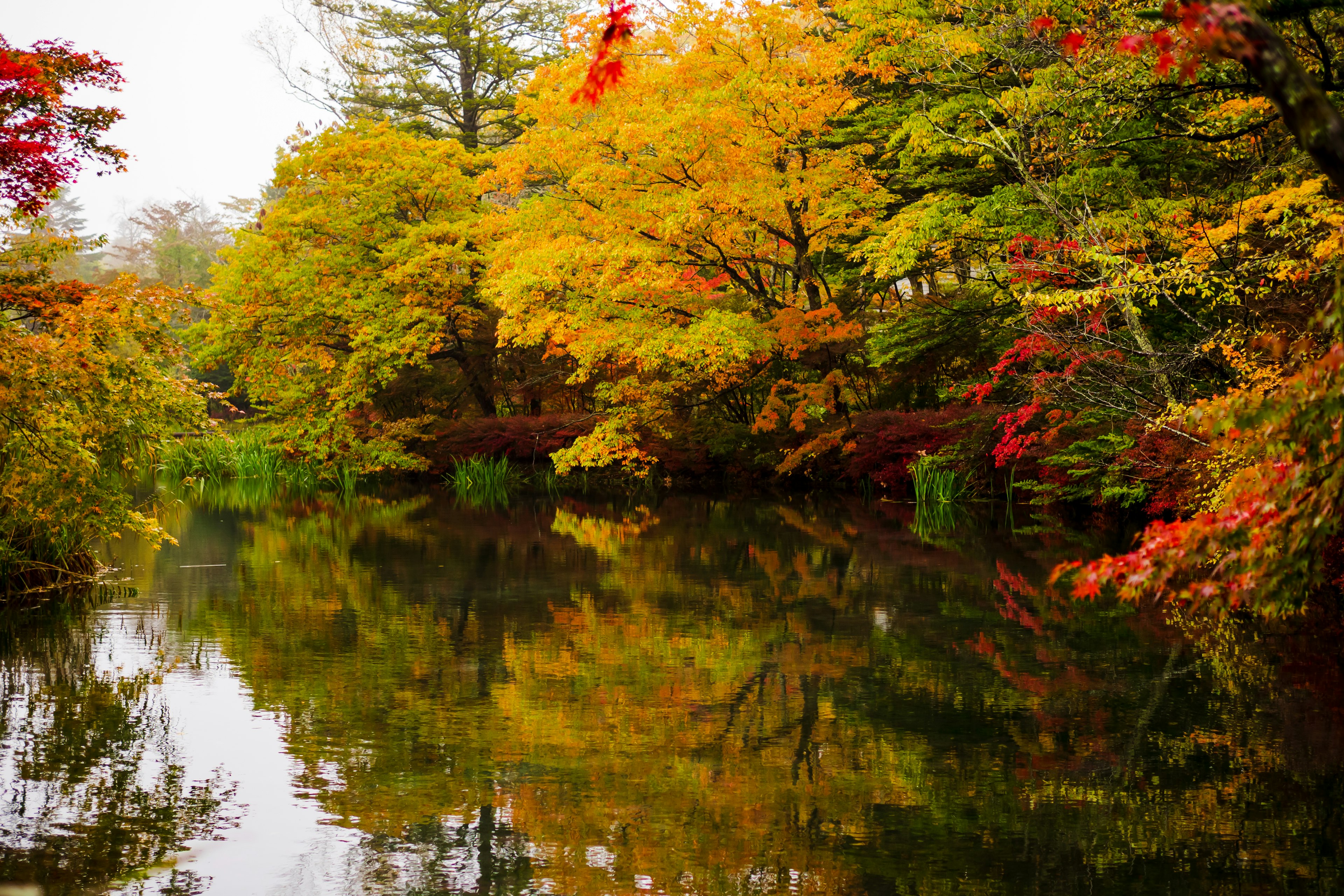 Serene river landscape with autumn trees reflecting in the water