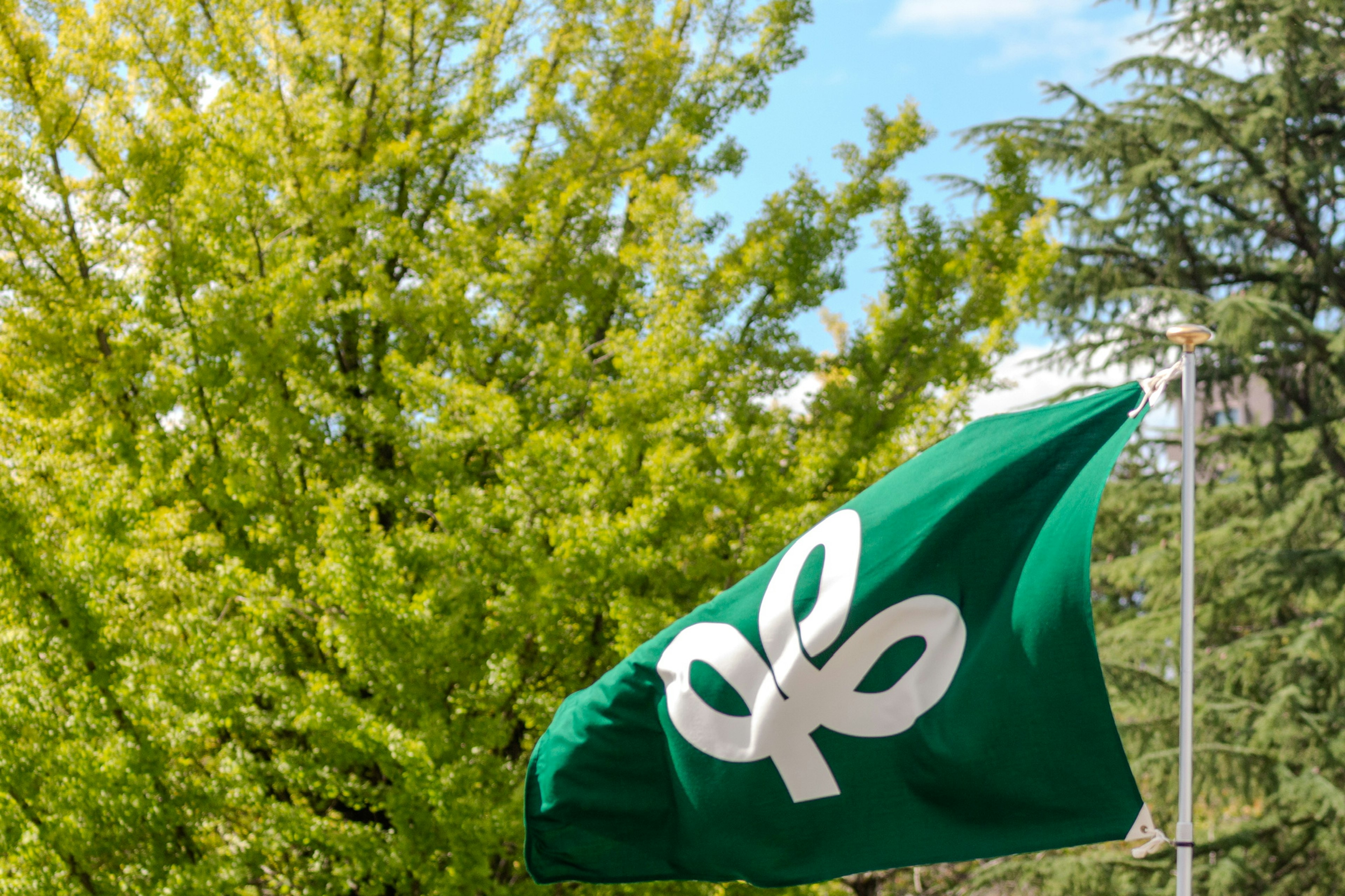 Image of a green flag with a white design waving in front of lush green trees