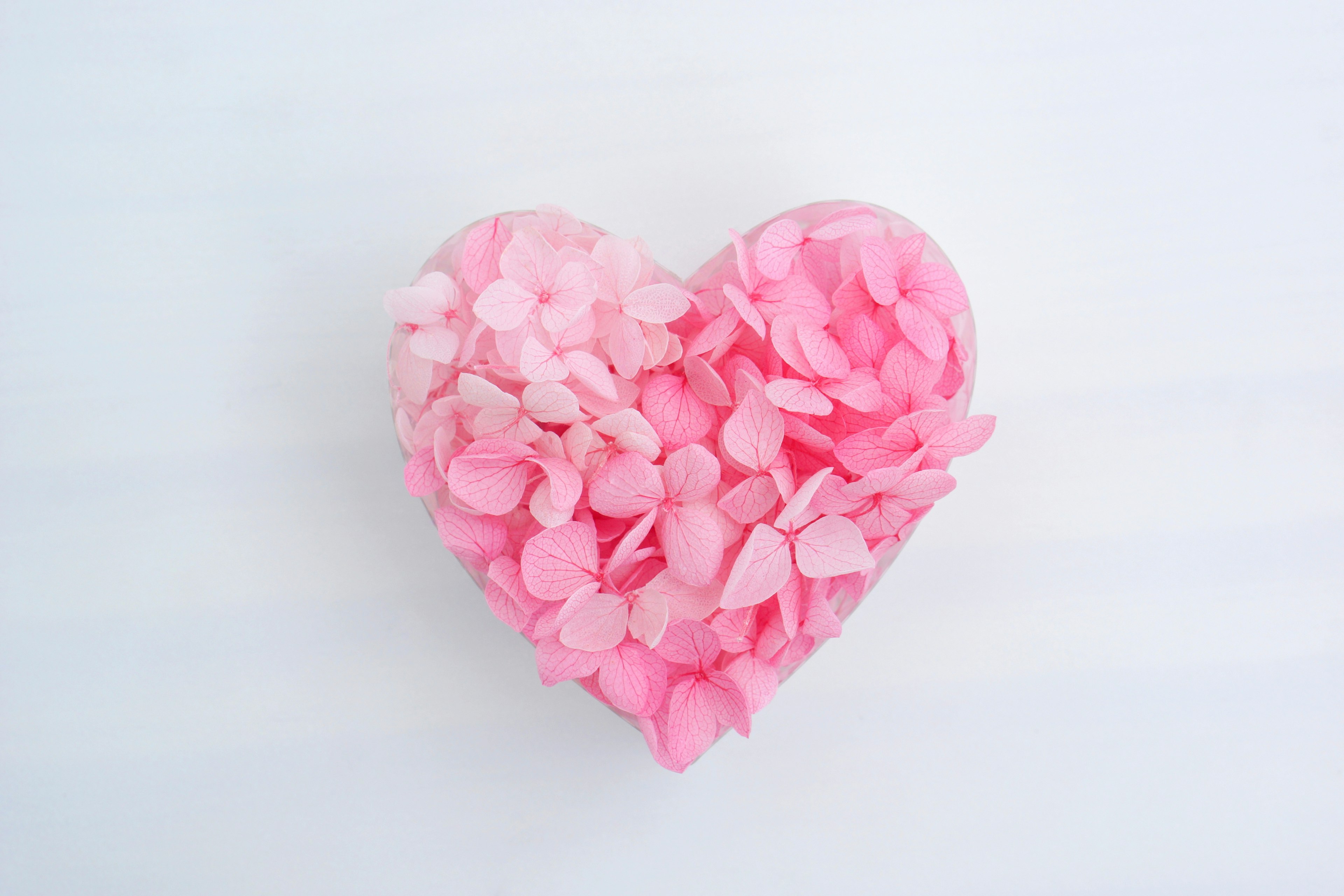 Heart shape made of pink petals on a light background