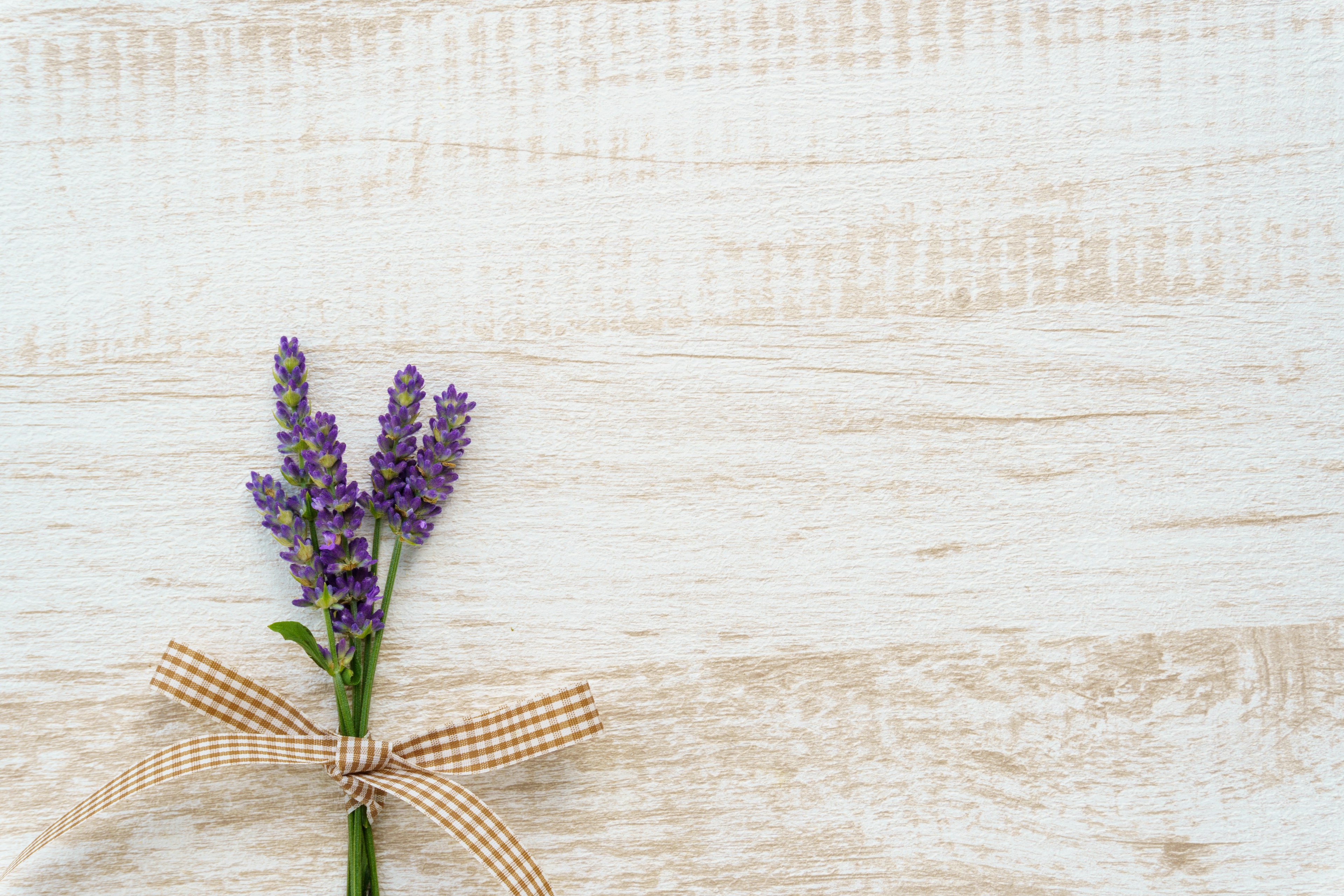 Lavendelblume mit Schleife auf hellem Holz-Hintergrund