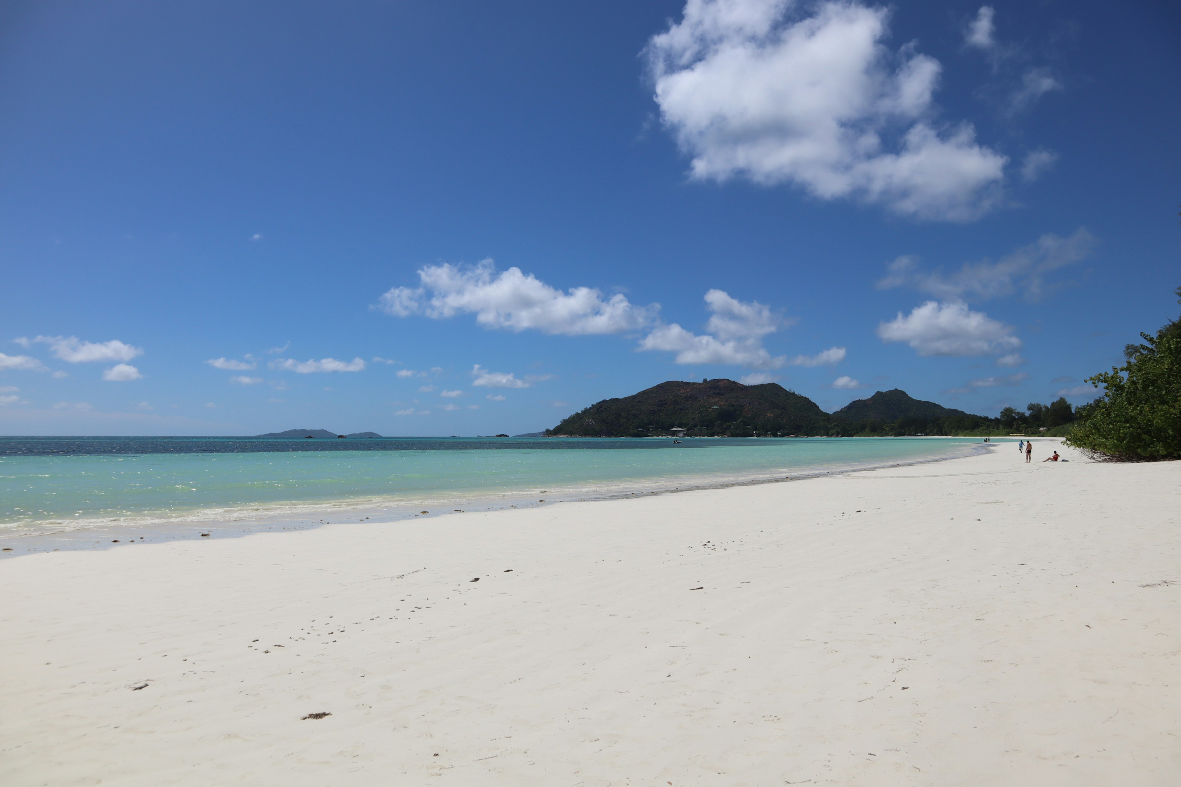 Une belle scène de plage avec du sable blanc et un océan bleu