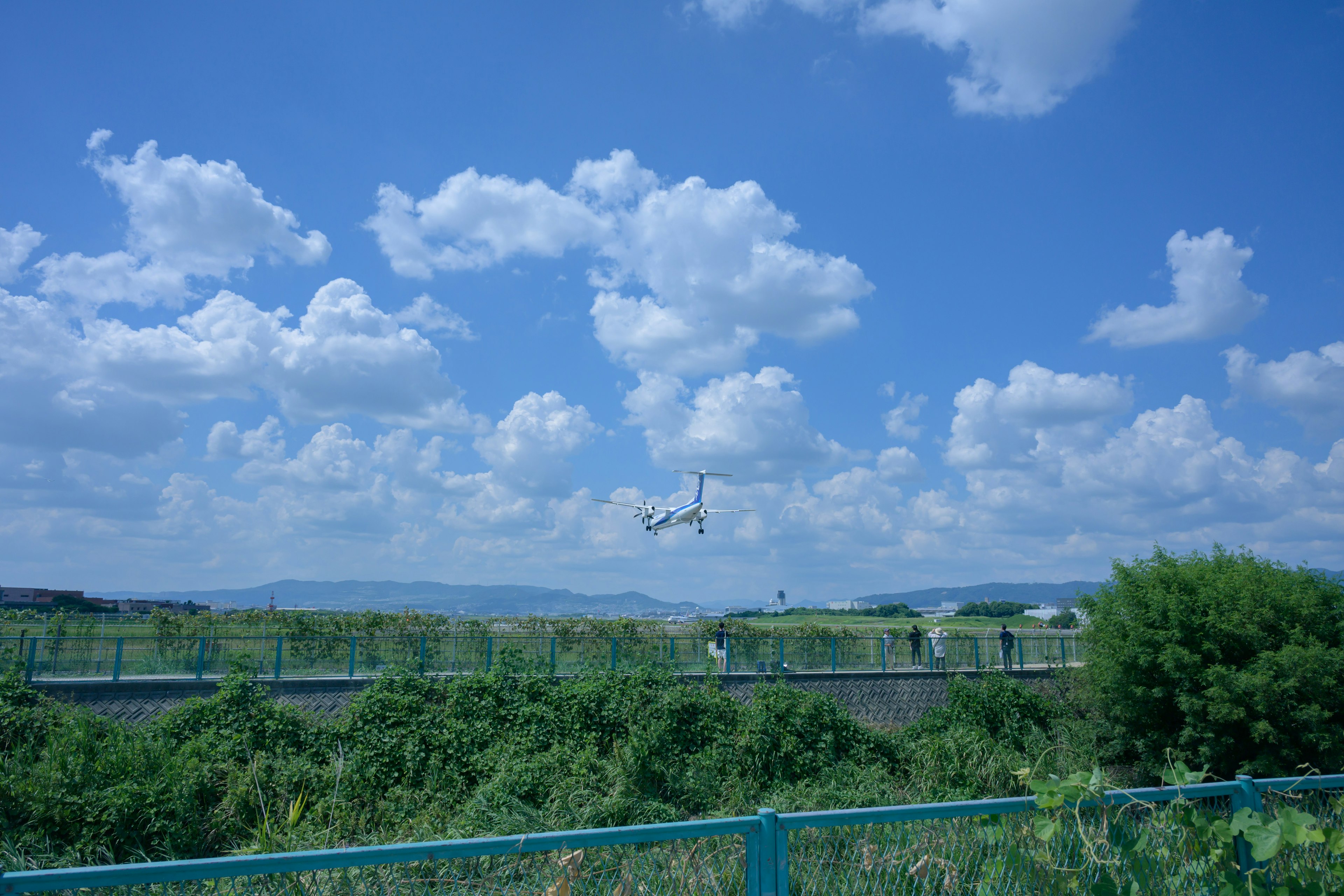 一架飛機在藍天和白雲下飛行，周圍是郁郁蔥蔥的綠色和一座橋