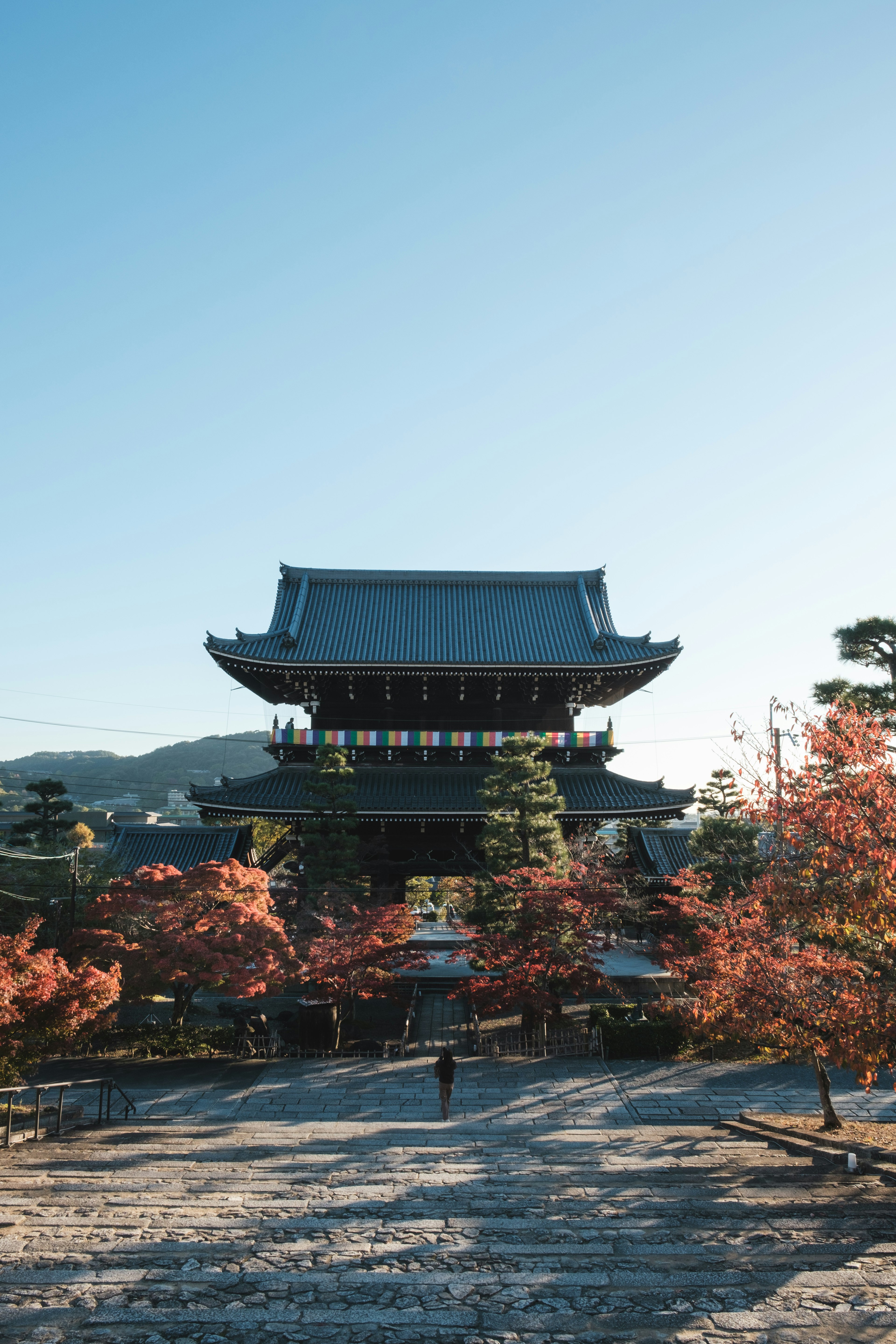 秋の紅葉に囲まれた美しい日本の寺院の景色