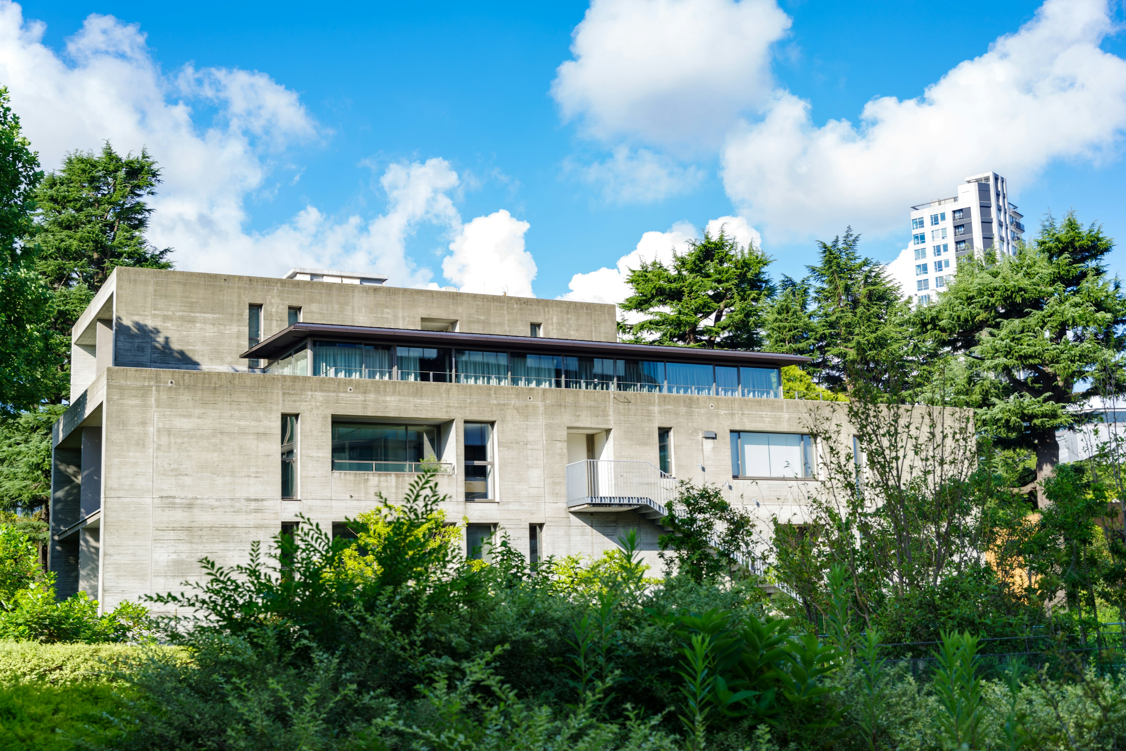 Edificio moderno de concreto rodeado de vegetación bajo un cielo azul