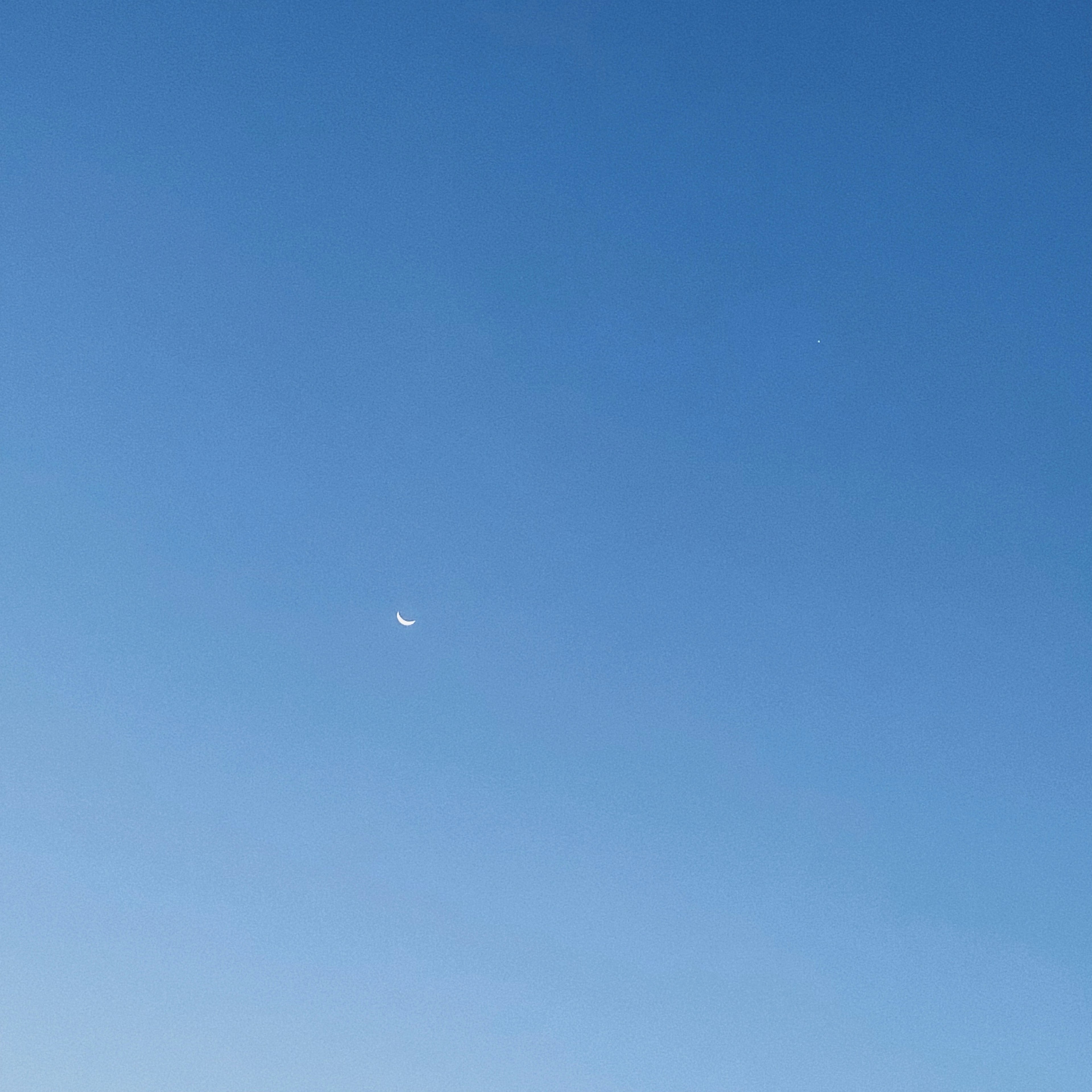 Sebuah pesawat kecil terlihat di langit biru