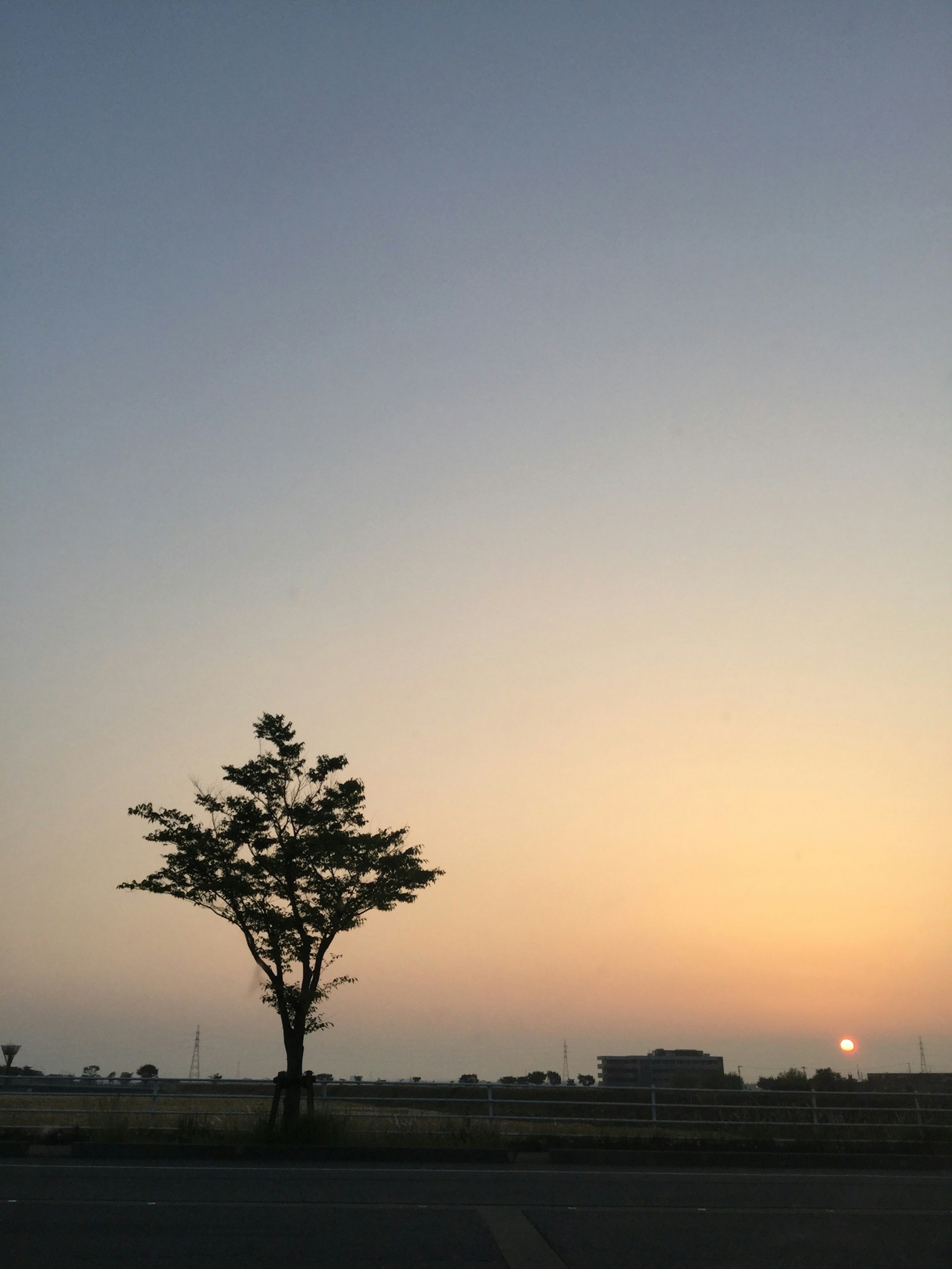 Silhouette pohon kesepian di latar belakang matahari terbenam