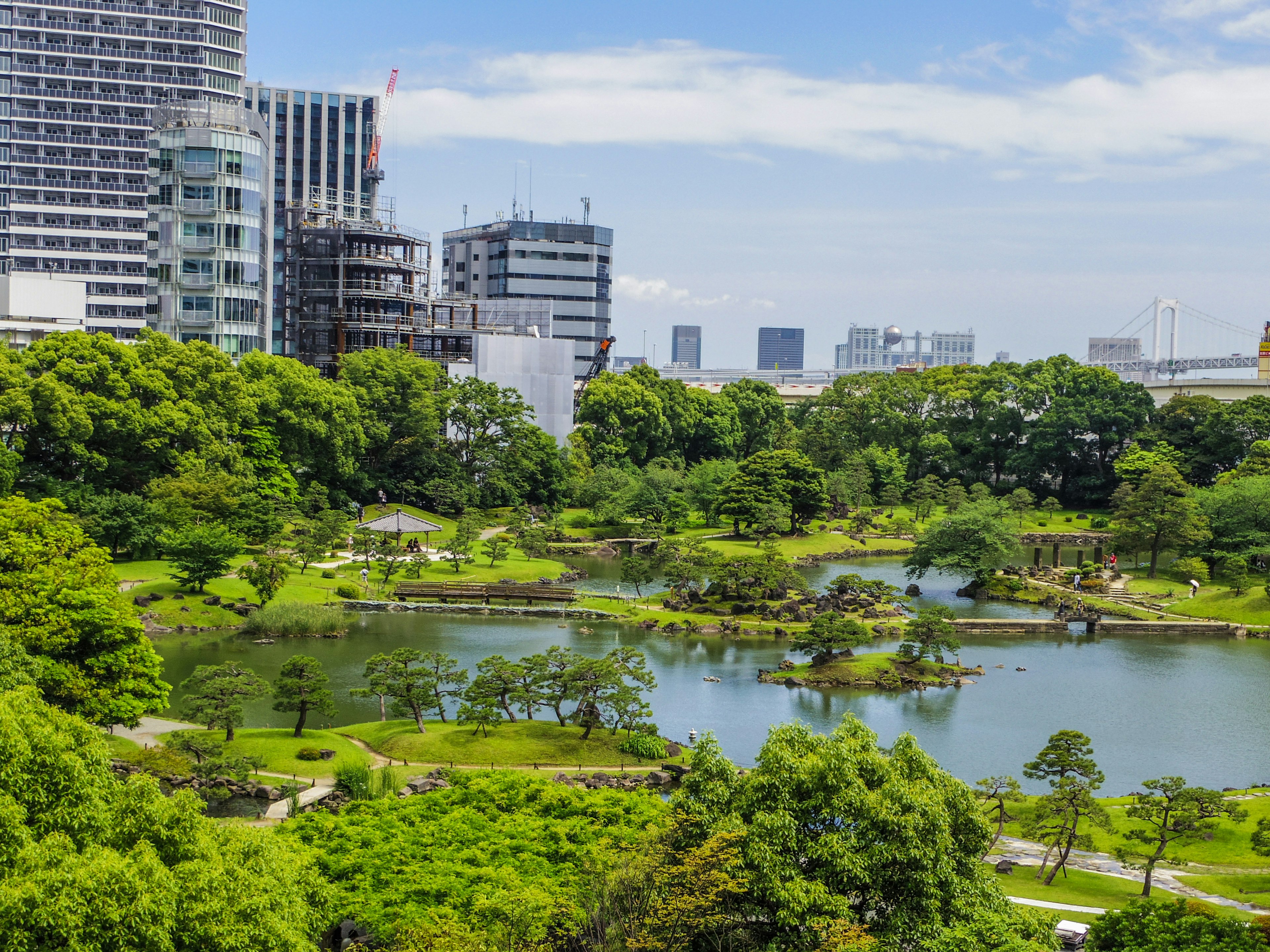 Lush park with a serene pond surrounded by greenery and skyscrapers in the background