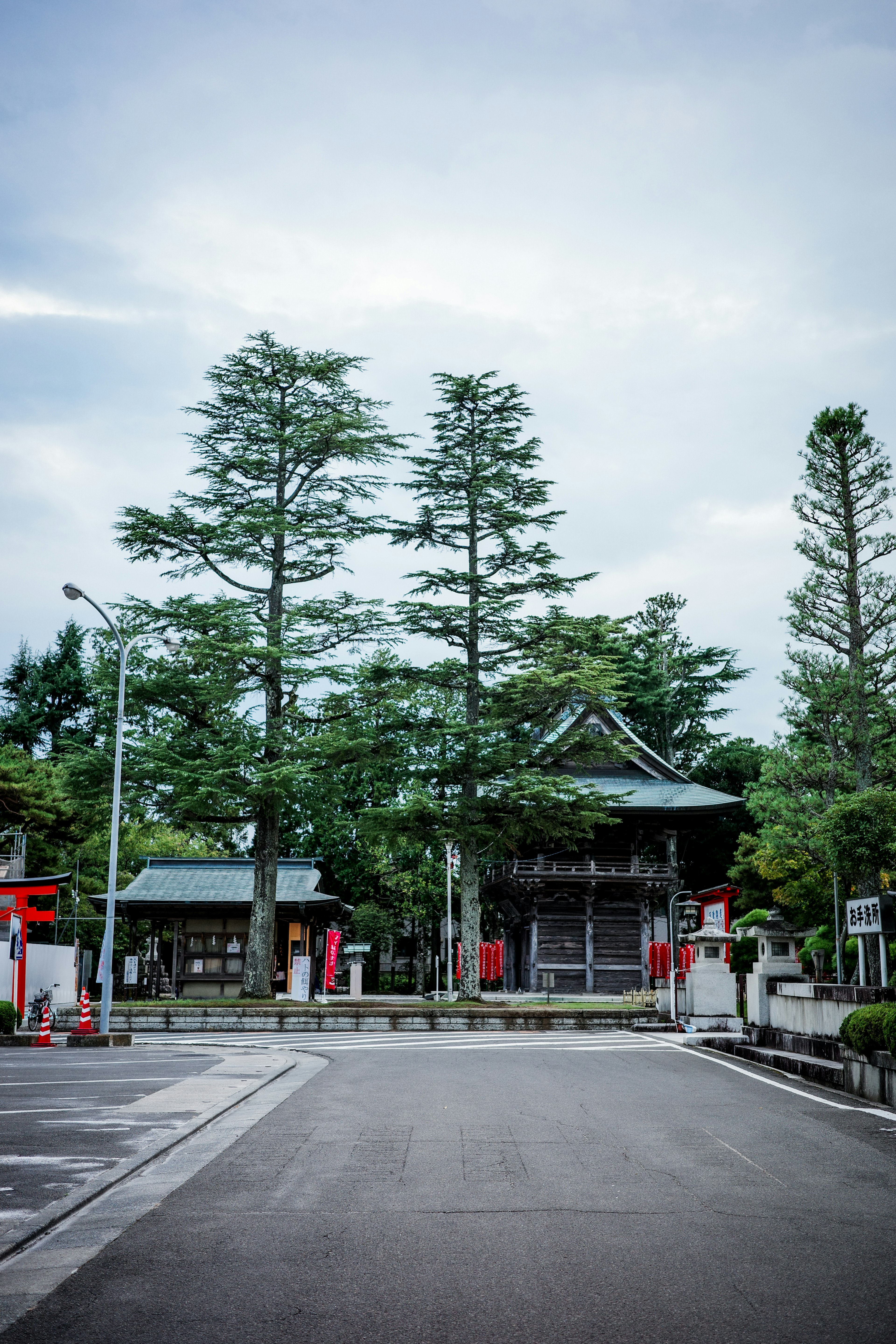 静かな神社の通りと緑豊かな木々の風景