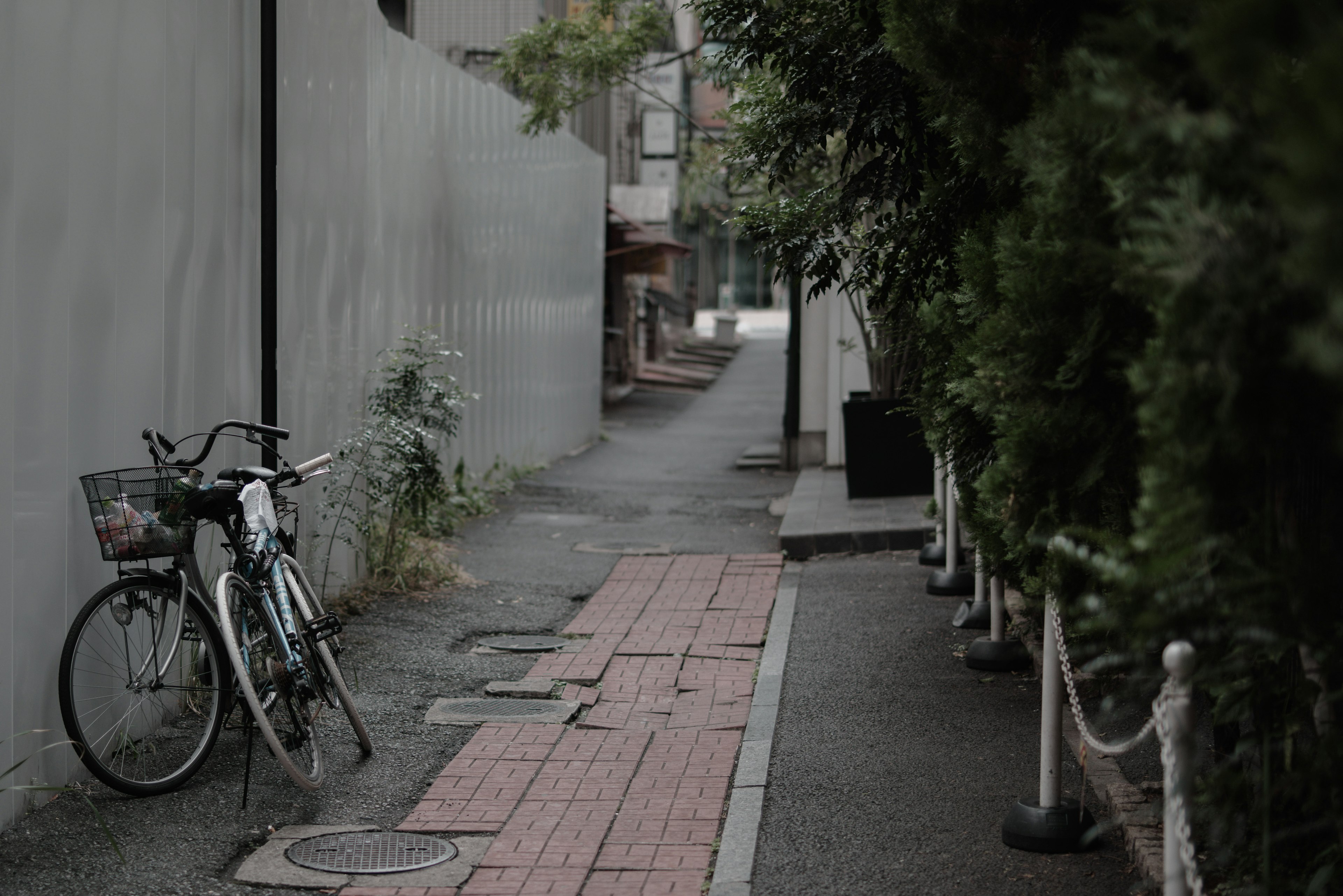 狭い道に停められた自転車と周囲の緑の植物