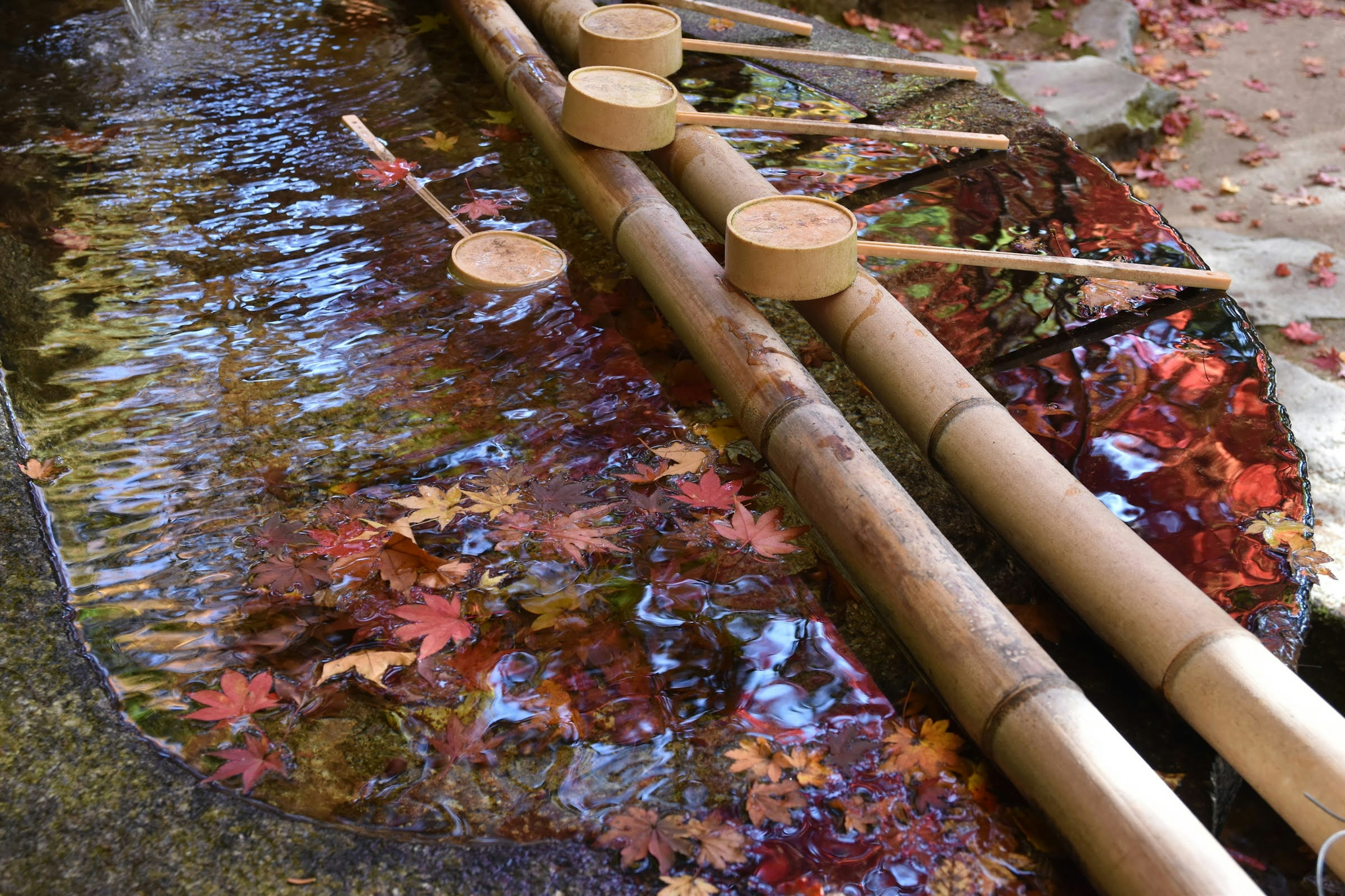 Bamboo water feature with floating leaves in a serene setting