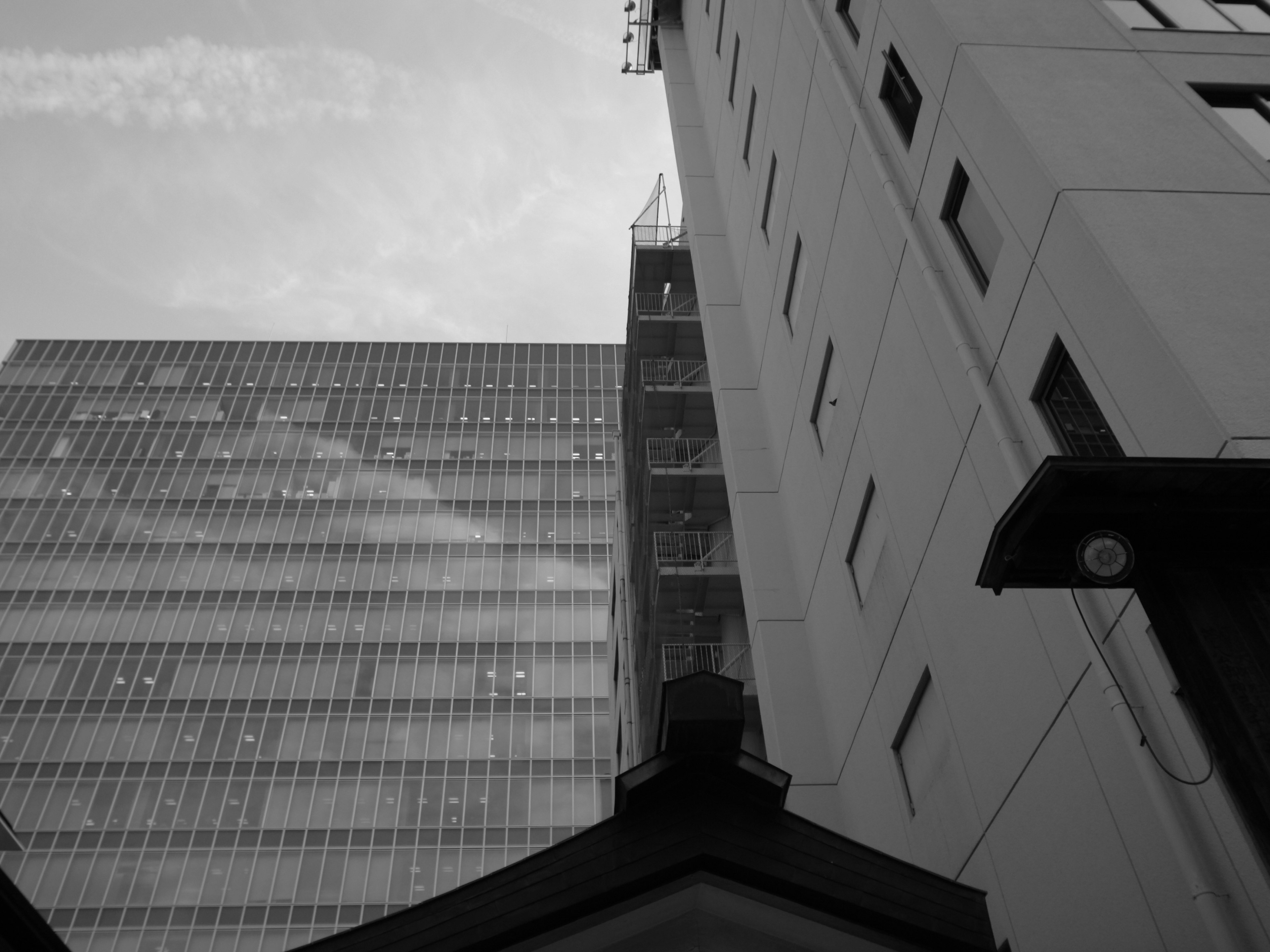 Monochrome image contrasting a modern building with an old structure