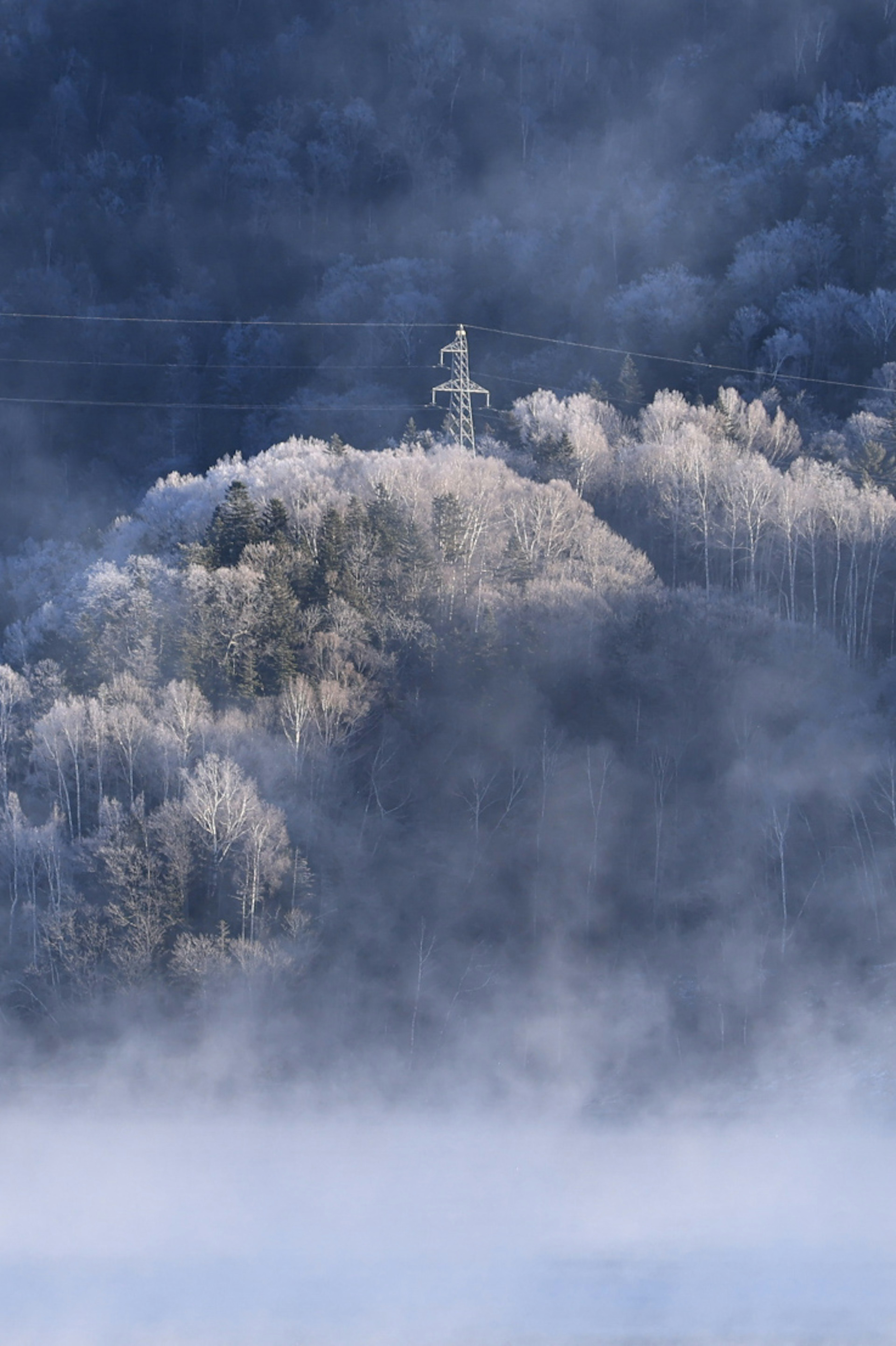 Foggy landscape with frost-covered trees and a power line tower