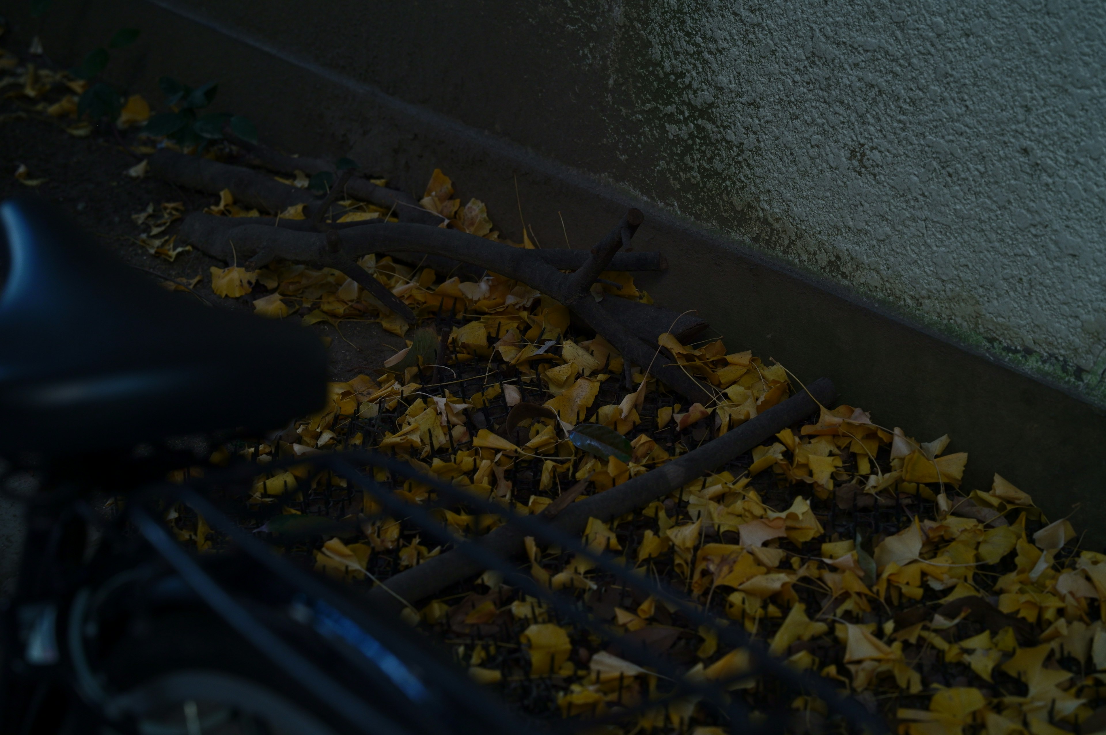 Part of a black bicycle and scattered yellow leaves on the ground