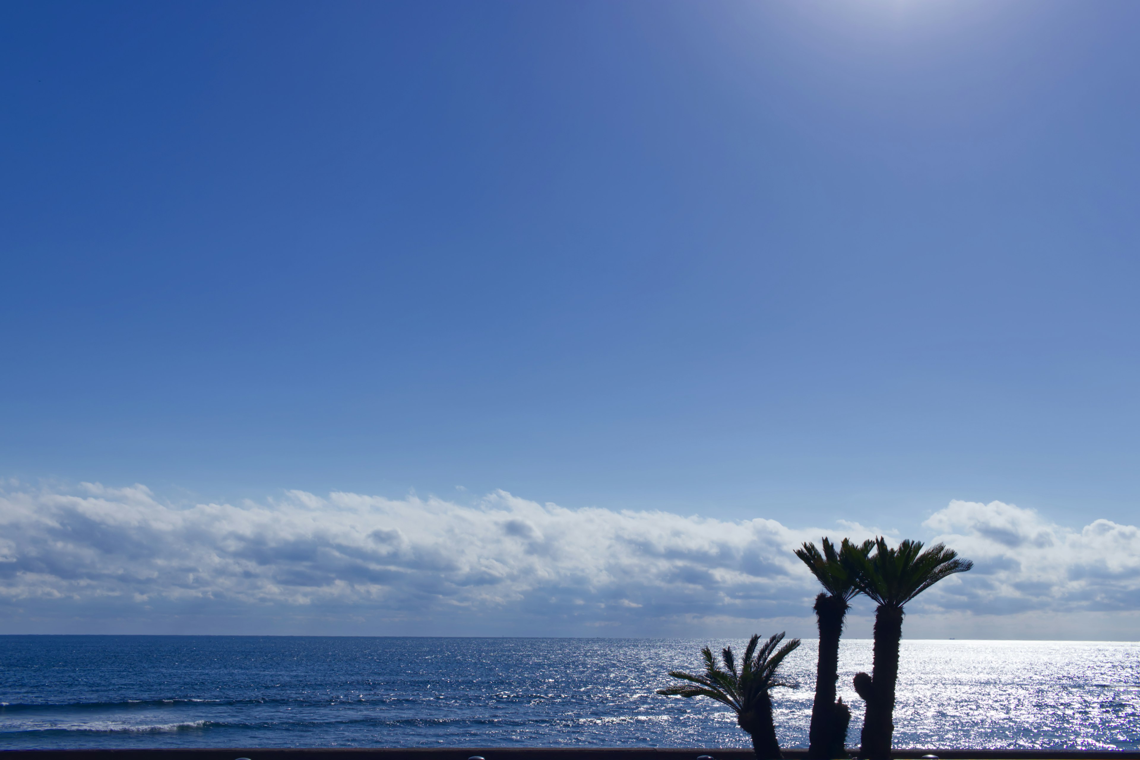 Palmiers en silhouette contre un ciel bleu et une vue sur l'océan