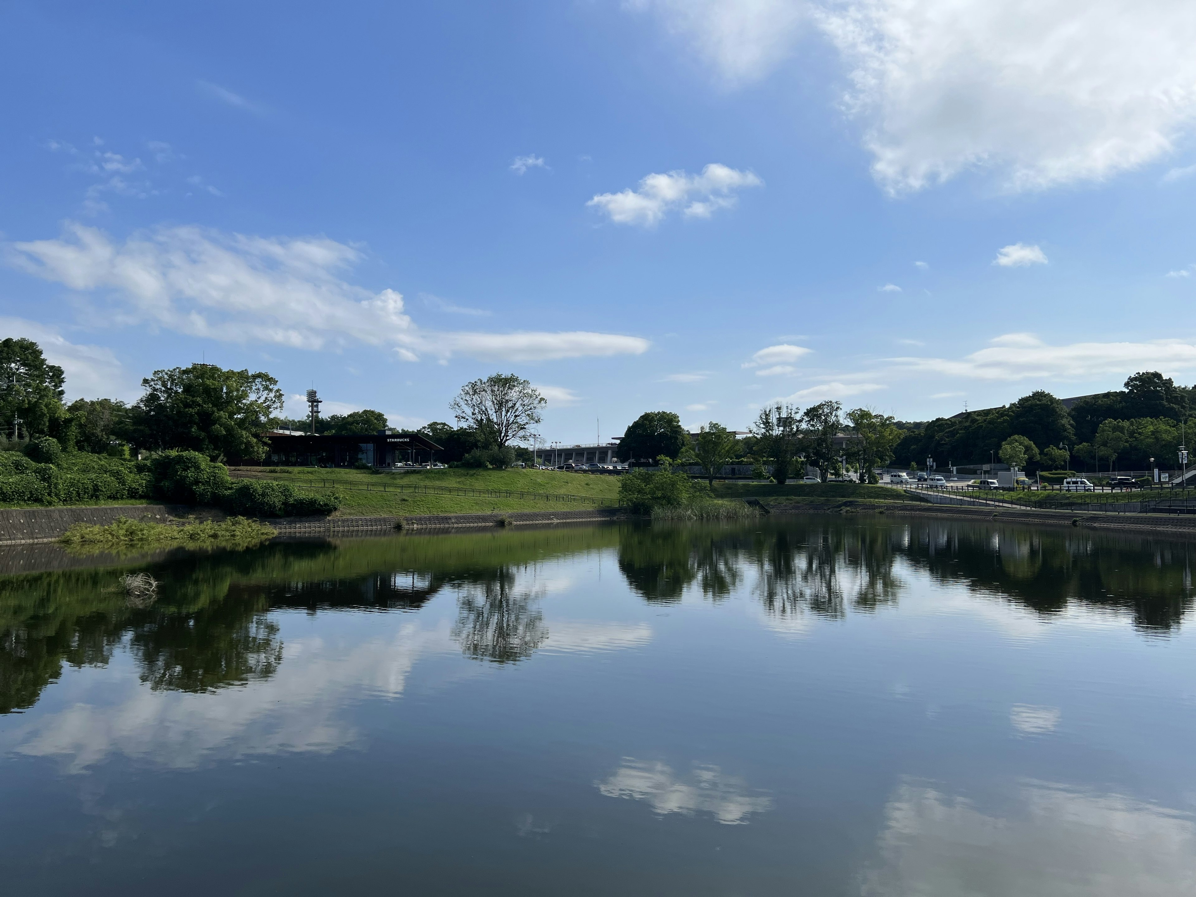 Clear blue sky reflecting on calm water green grass and trees