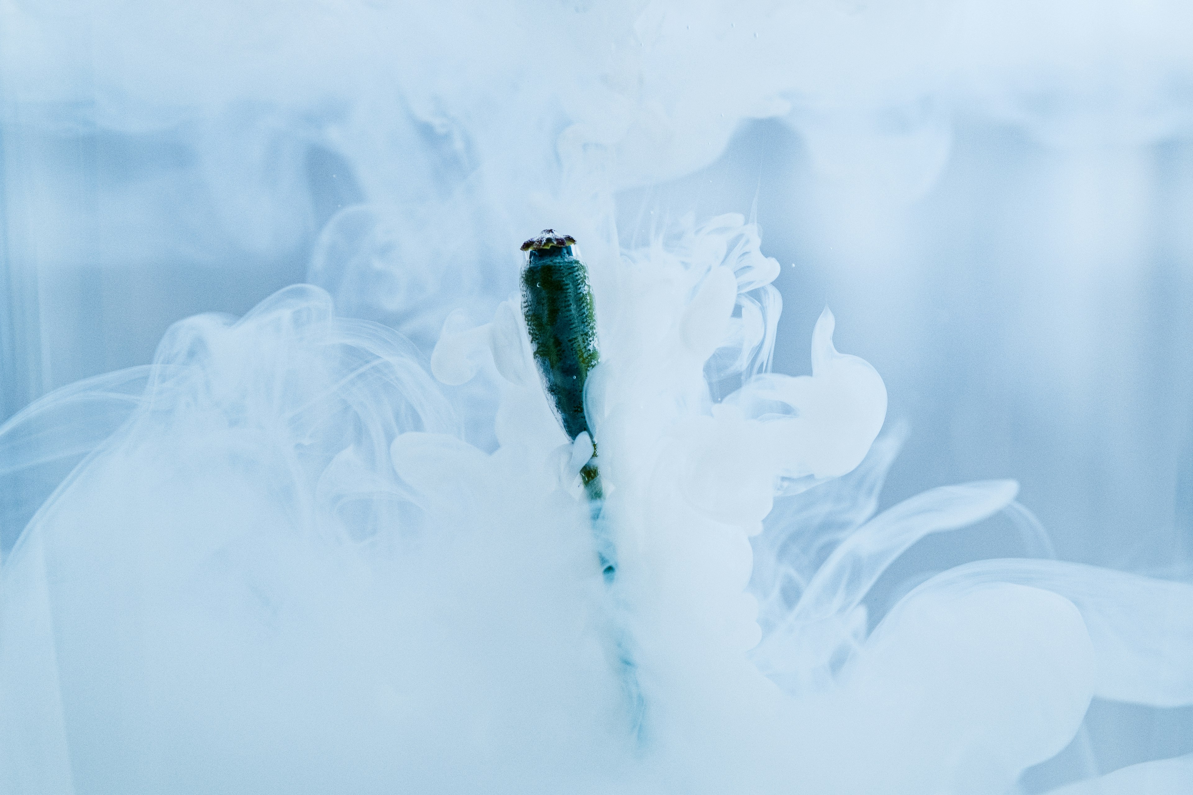 Green object emerging from blue smoke