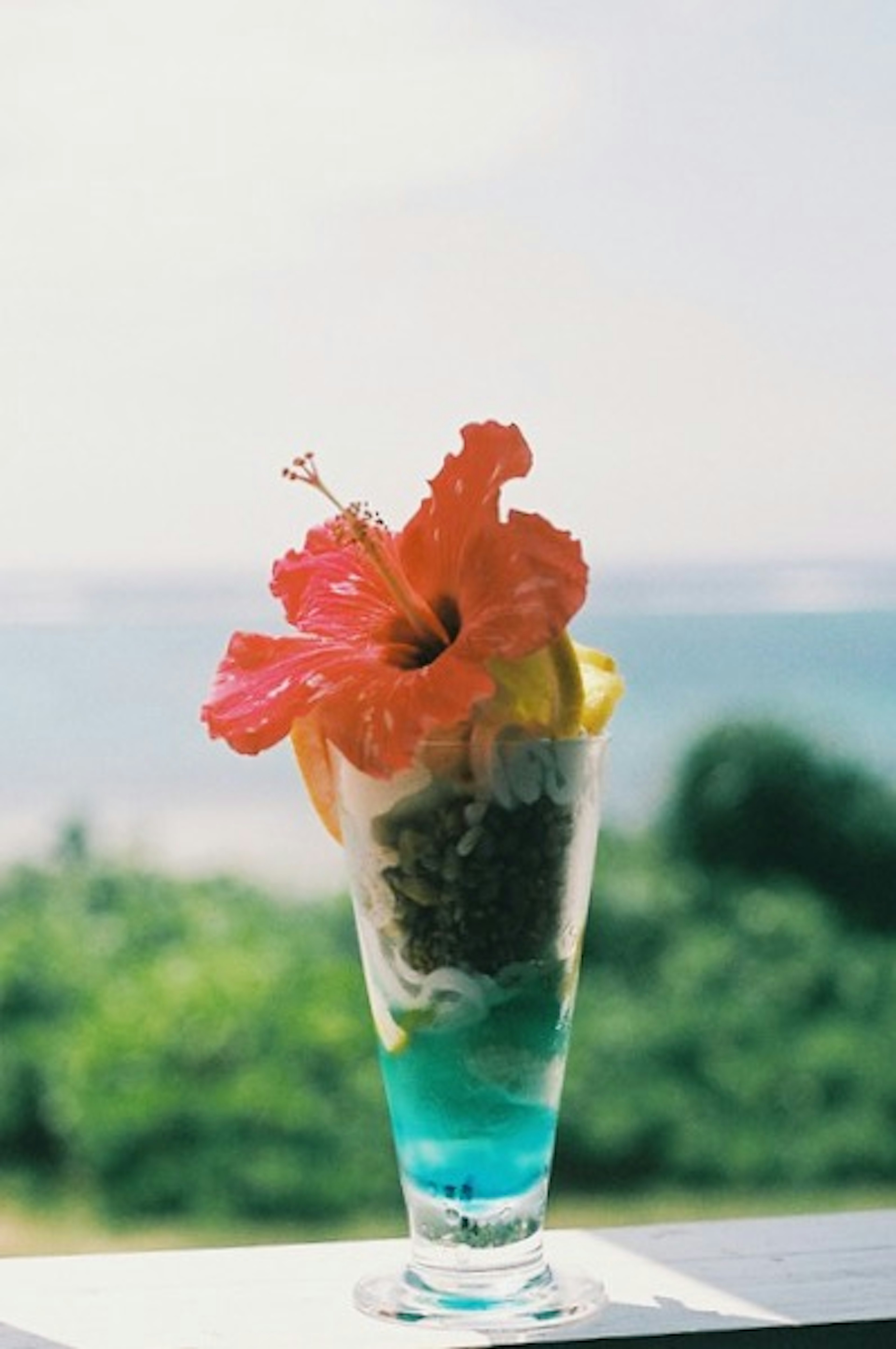 Cocktail glass with blue drink and hibiscus flower garnish