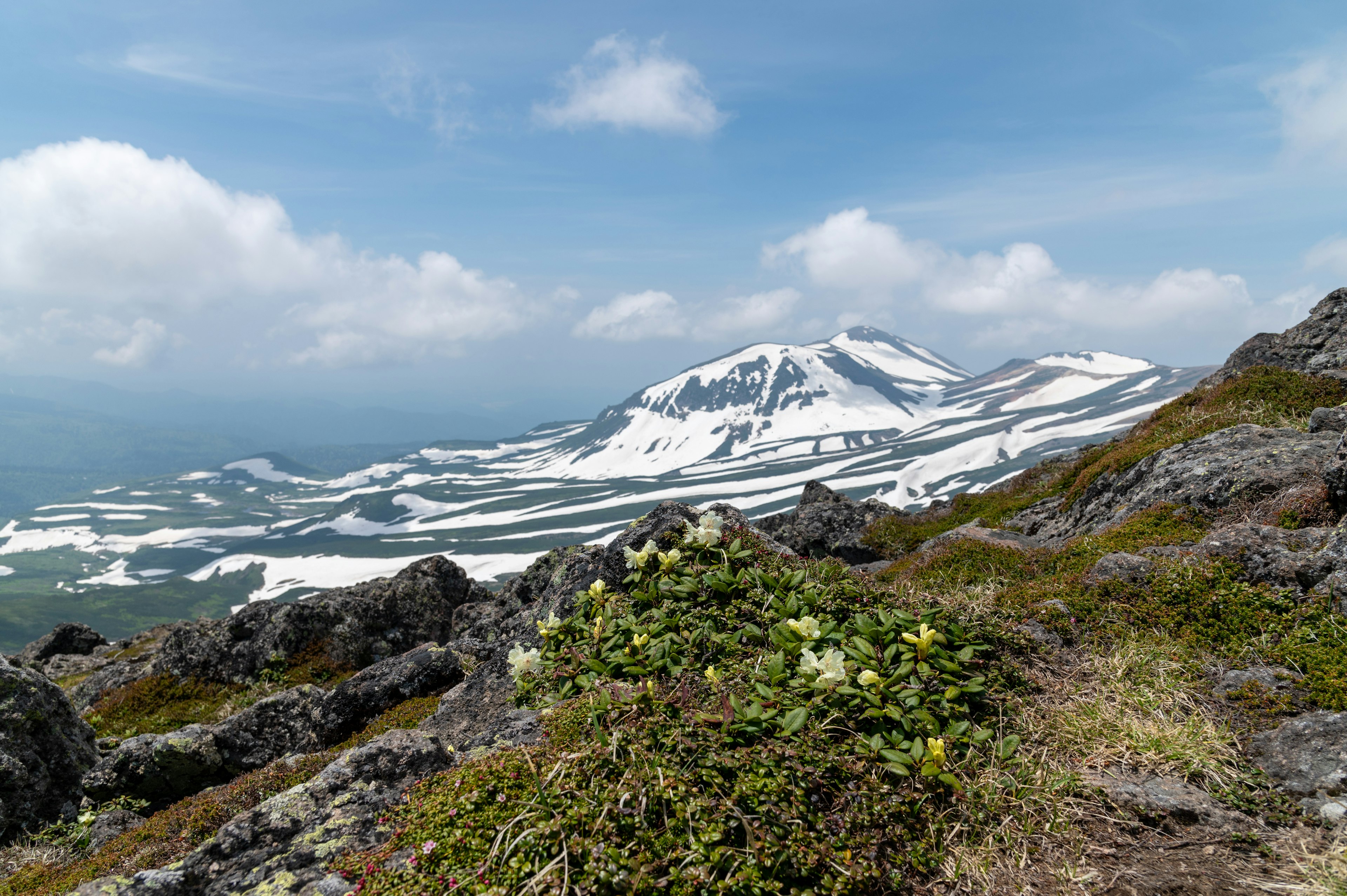 Vista panoramica di montagne innevate con vegetazione verde