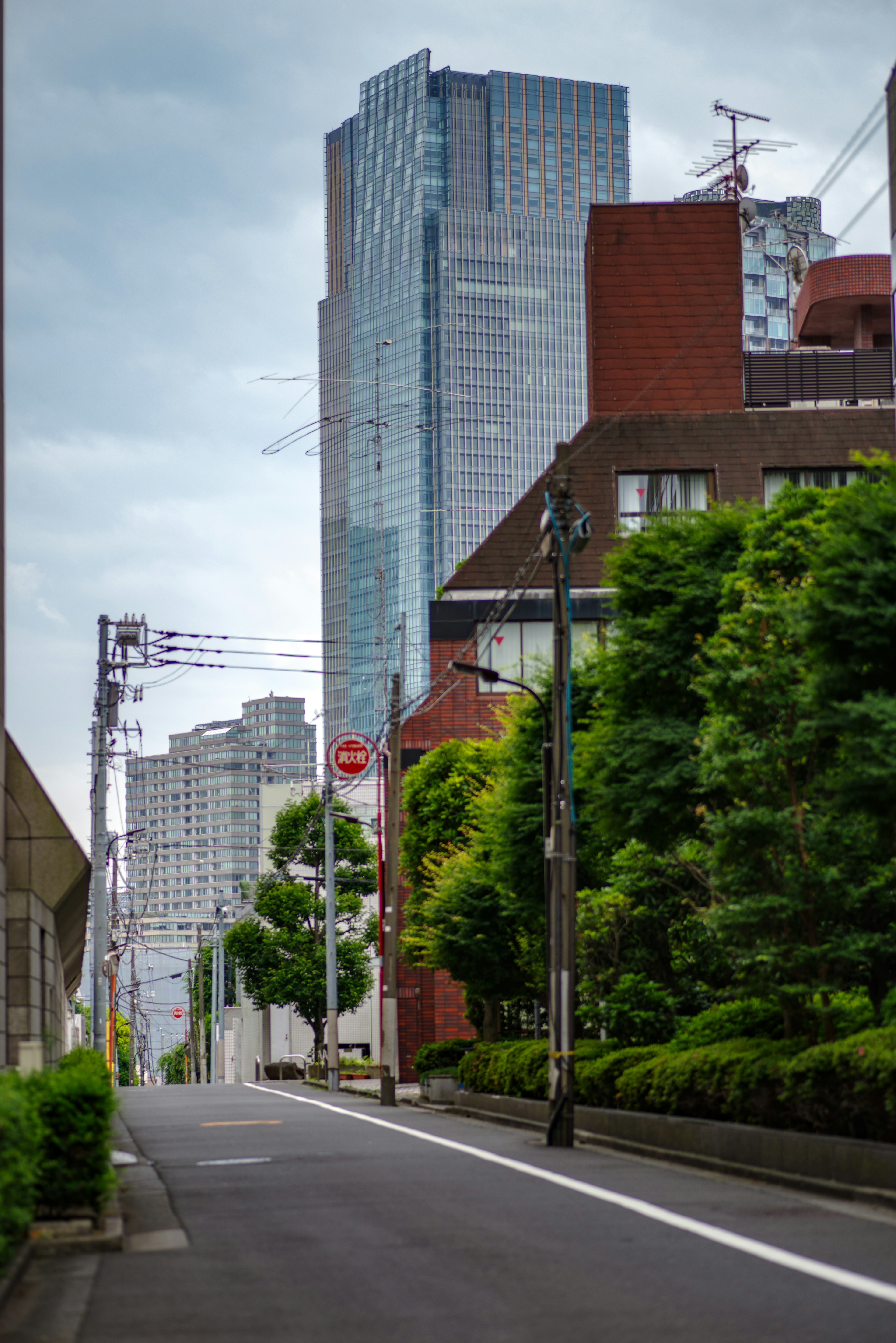 高層ビルと緑豊かな通りの風景