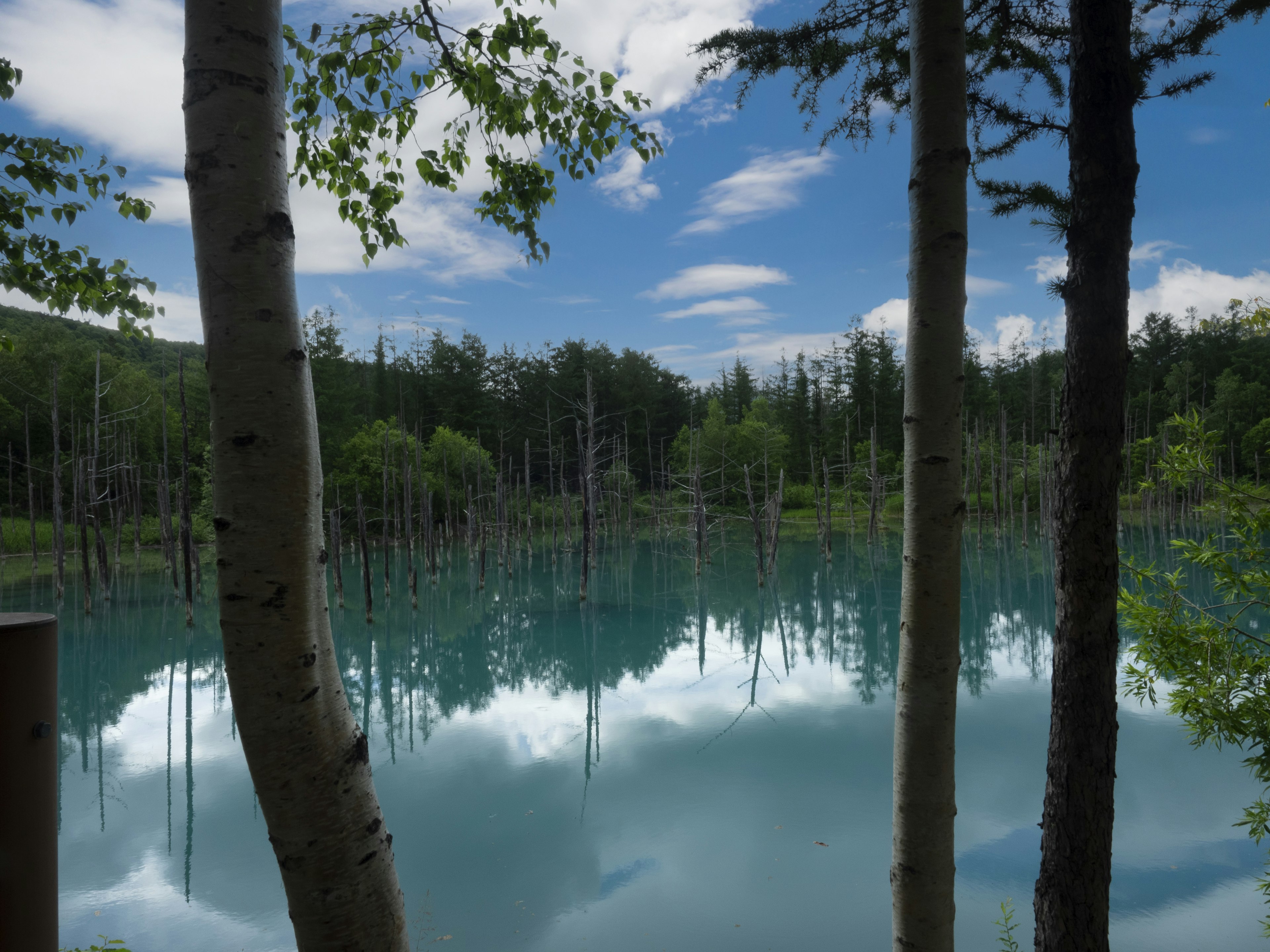 Landschaftsansicht eines blauen Sees, der Bäume und Himmel reflektiert