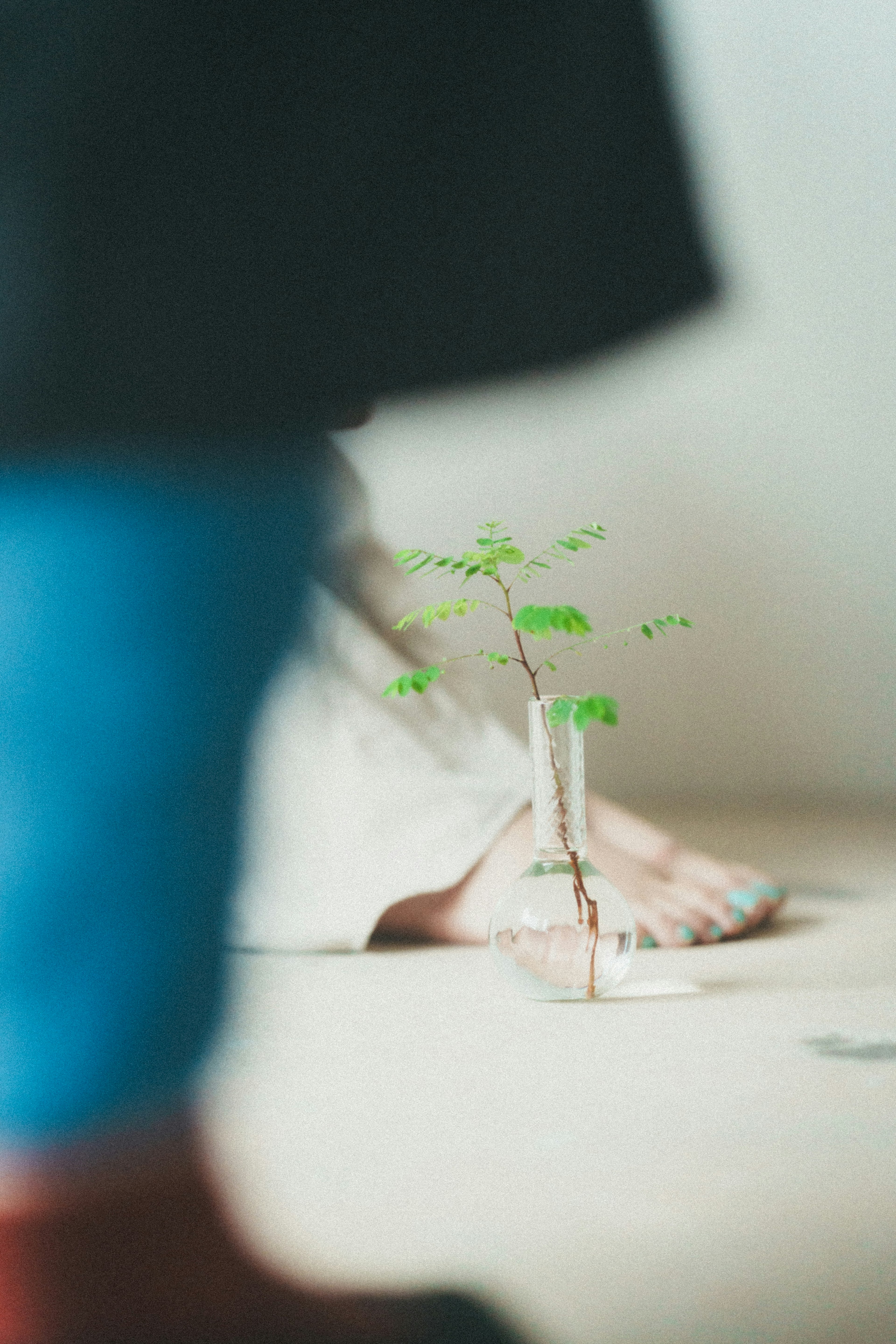 足元に小さな植物があるシーン