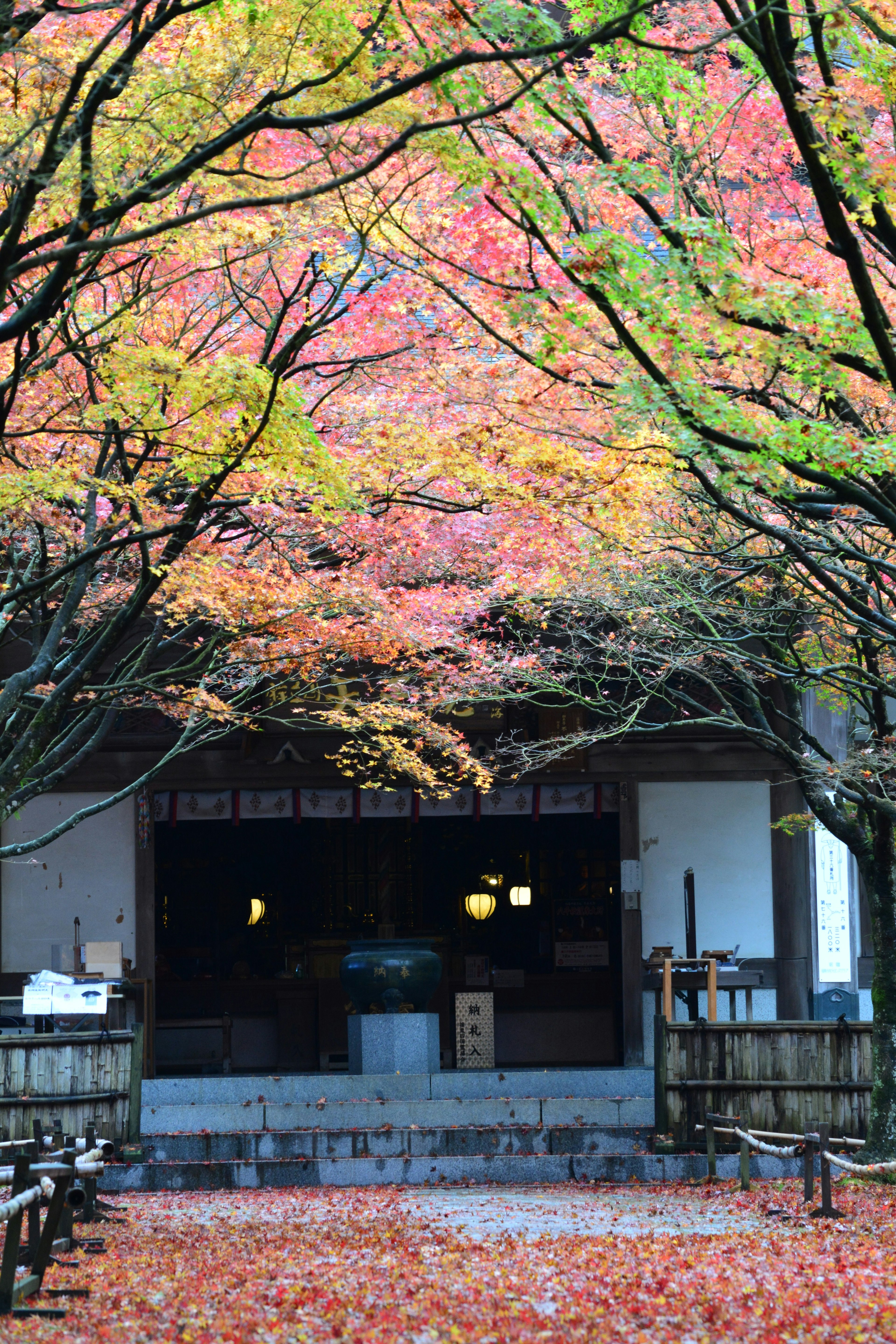 紅葉が美しい木々に囲まれた和風の建物