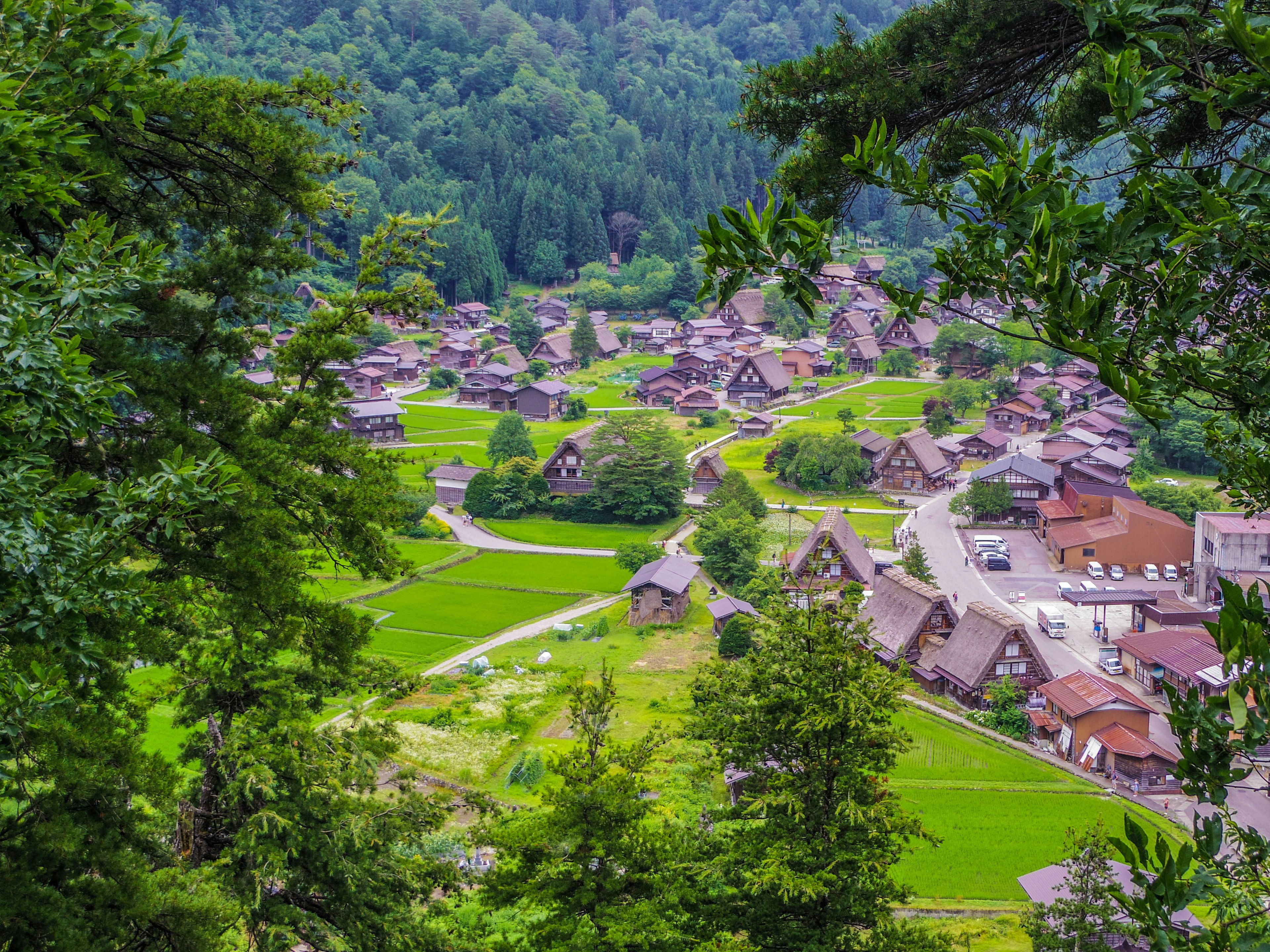 Scenic view of a village surrounded by mountains featuring lush rice fields and traditional houses